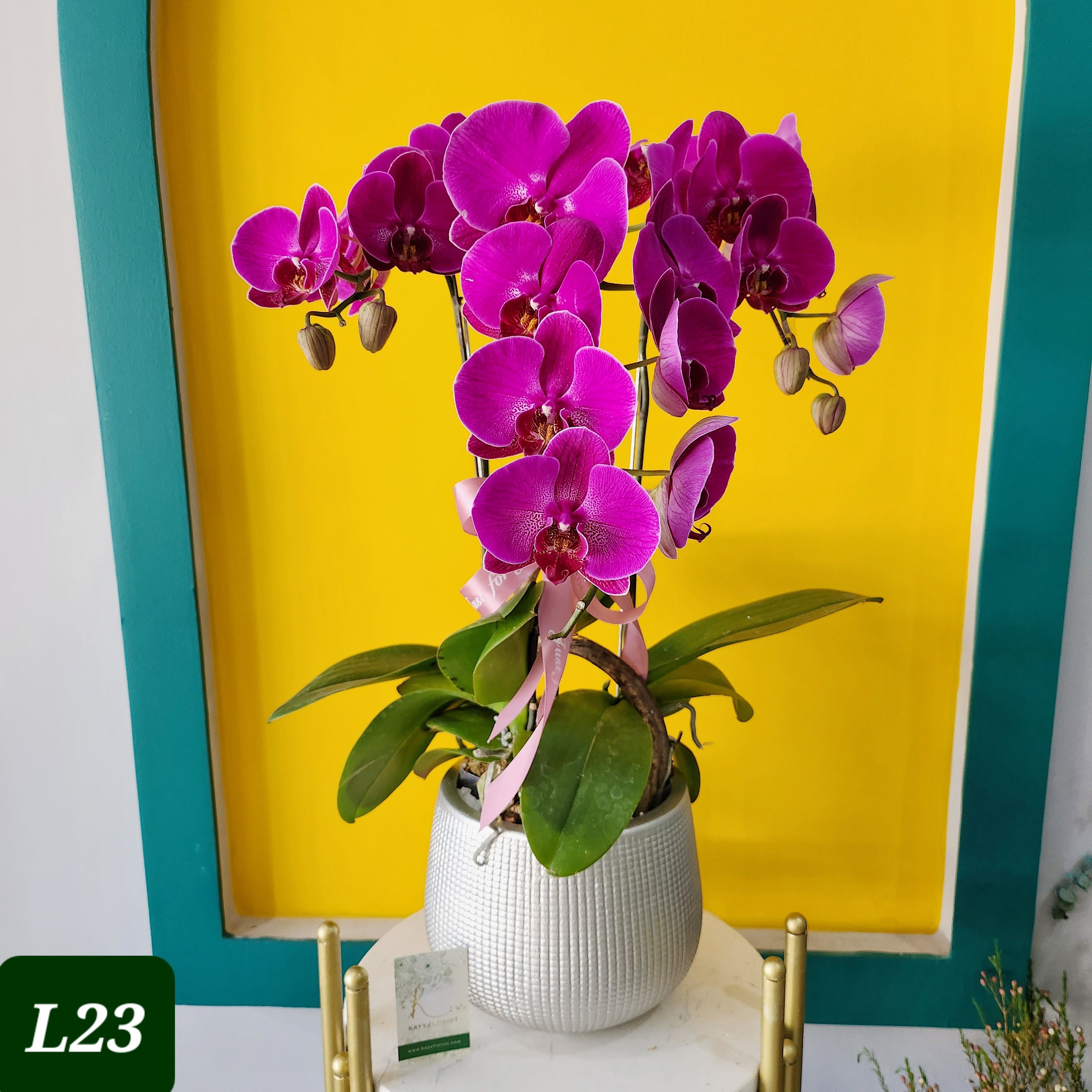 L23 Thiết kế Hiện Đại