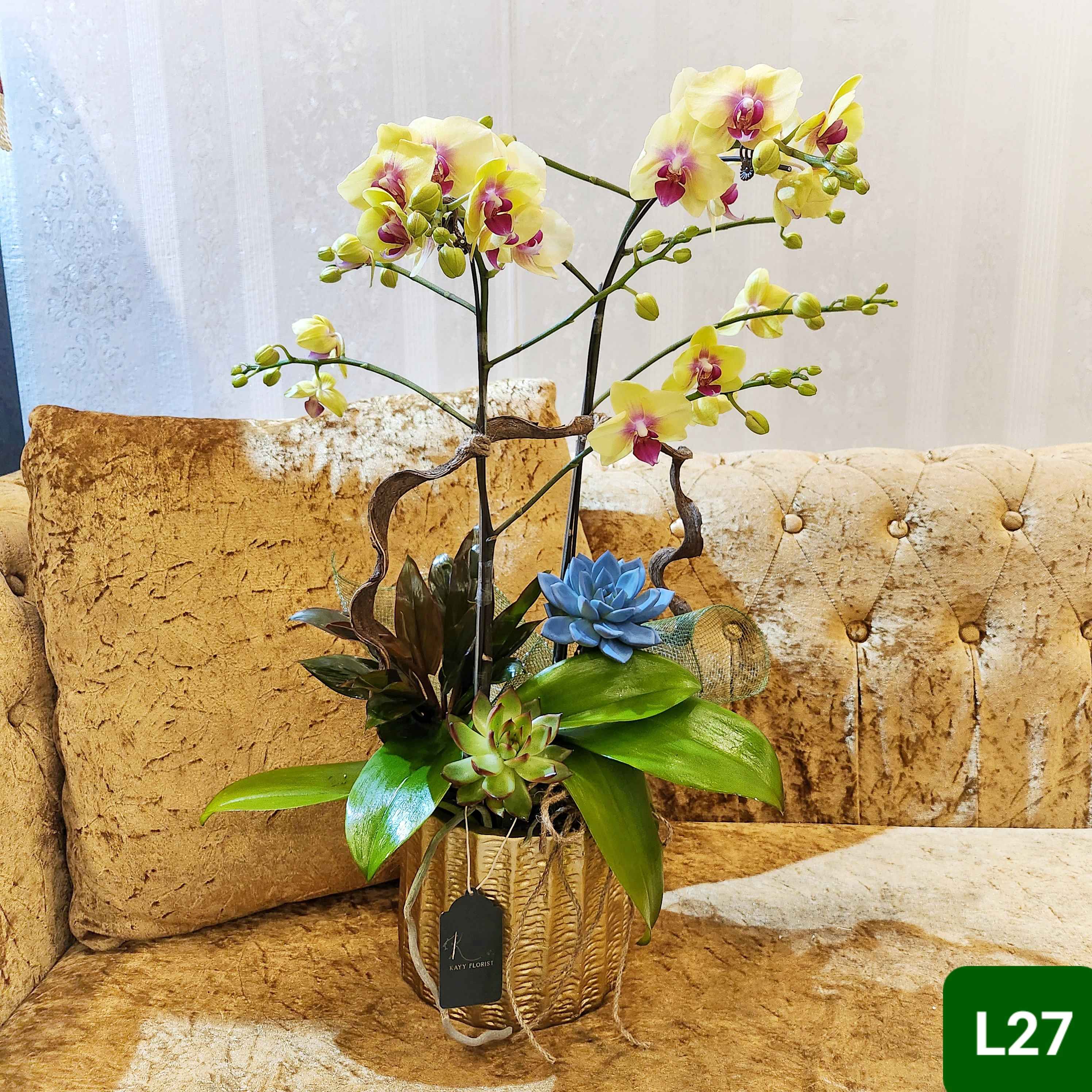 L27 Thiết kế Sang Trọng