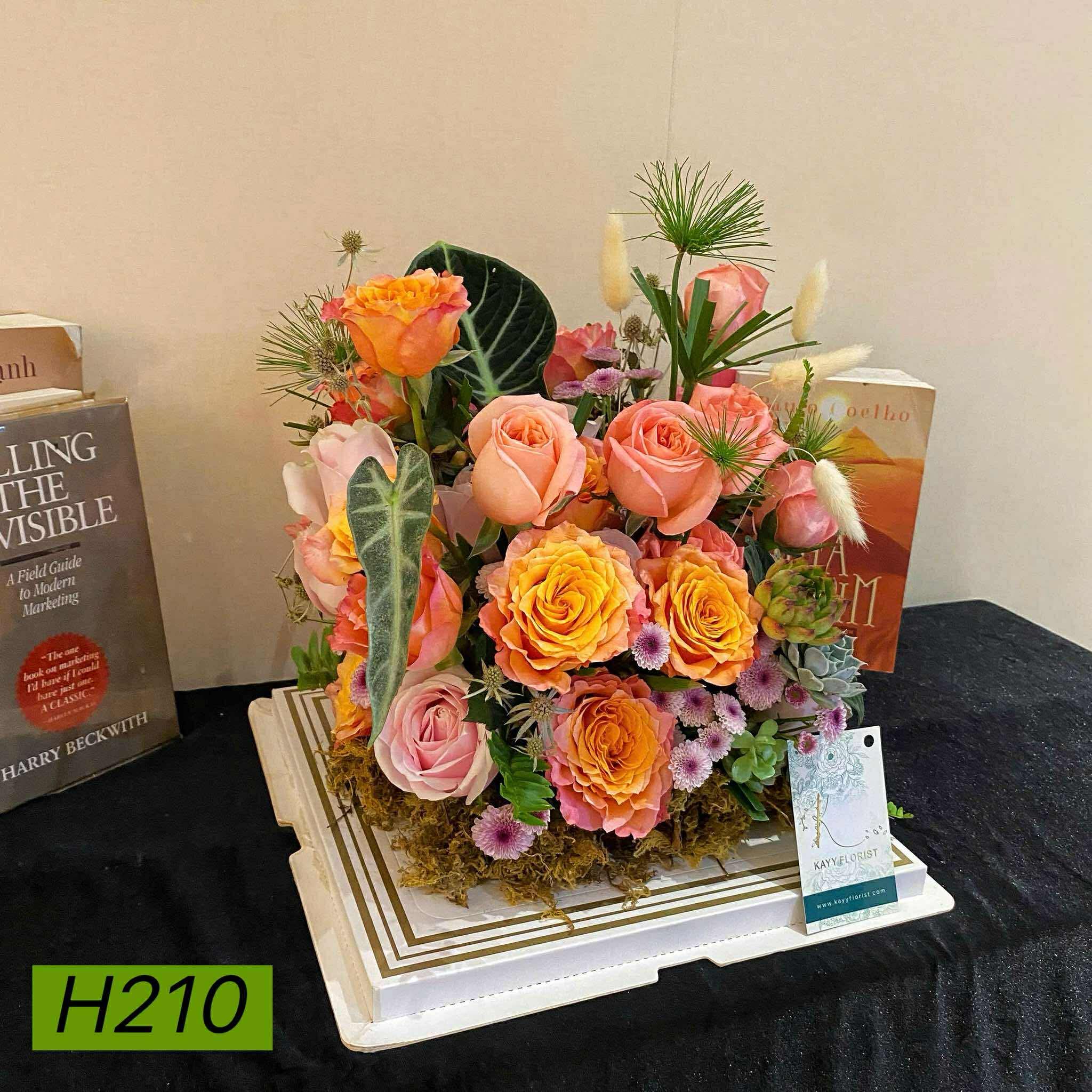 H210