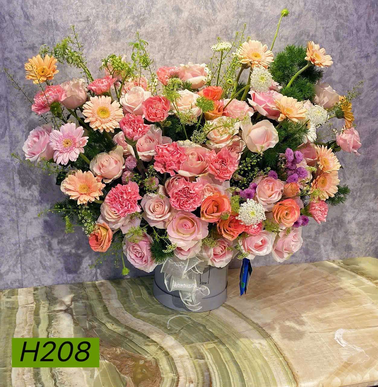 H208