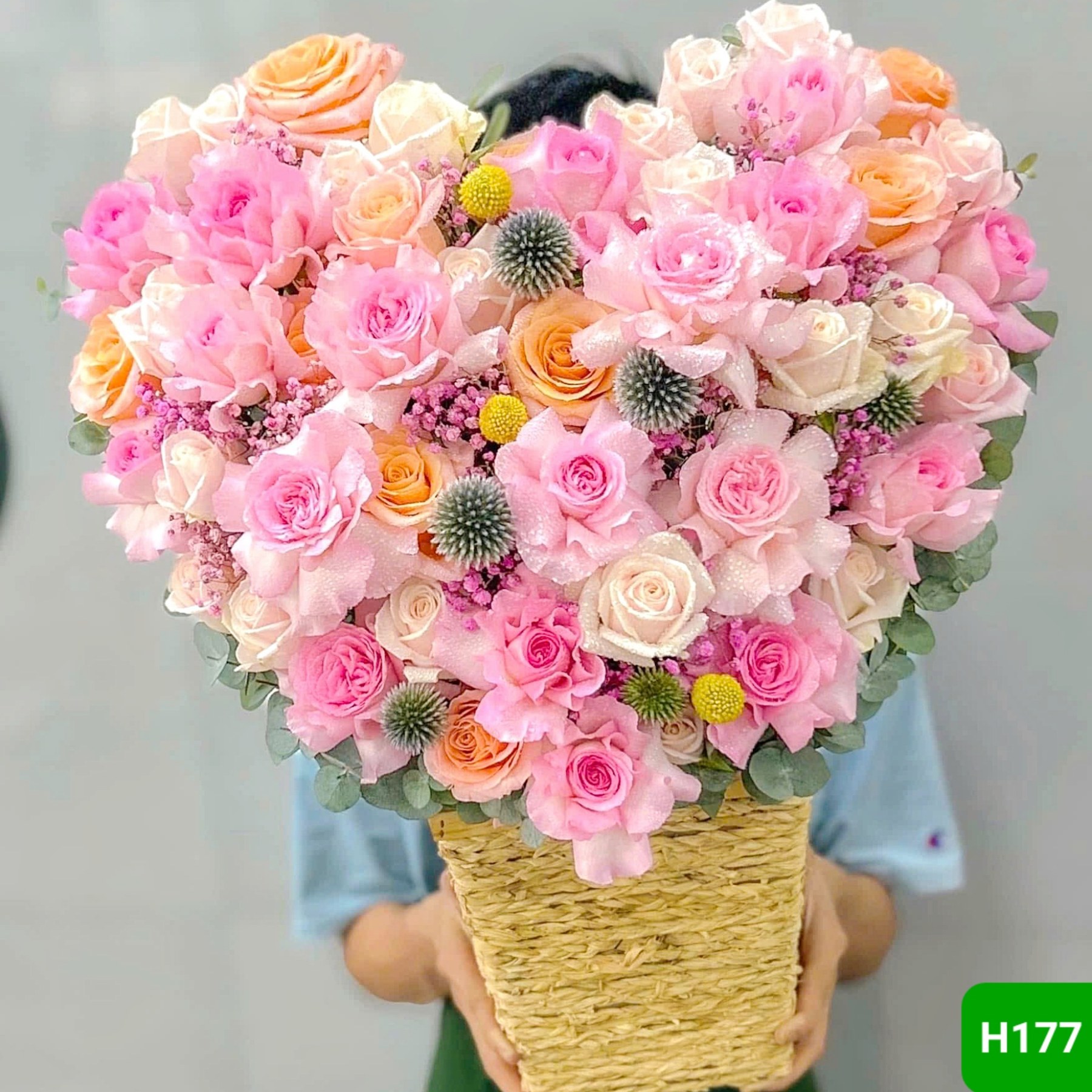H177