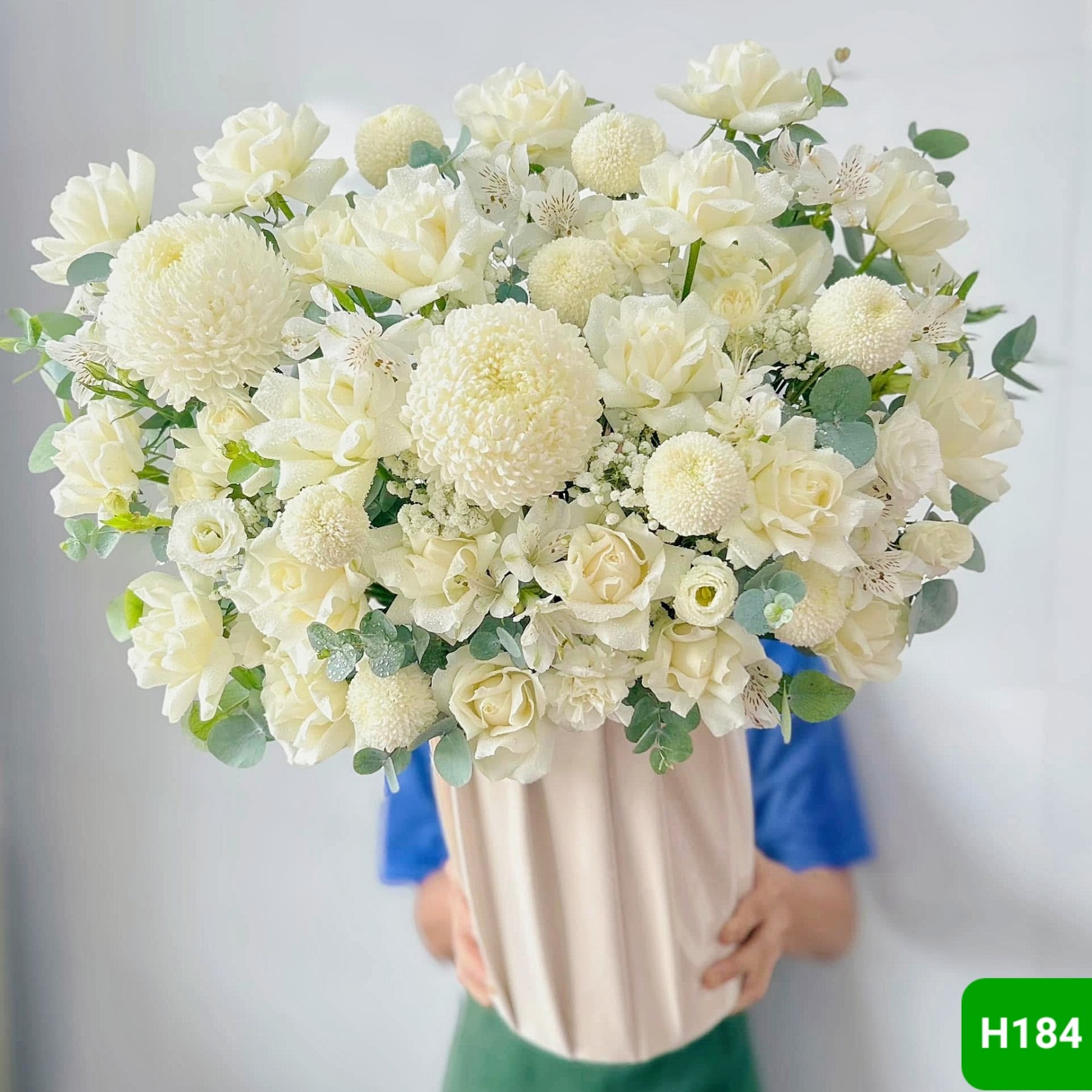 H184