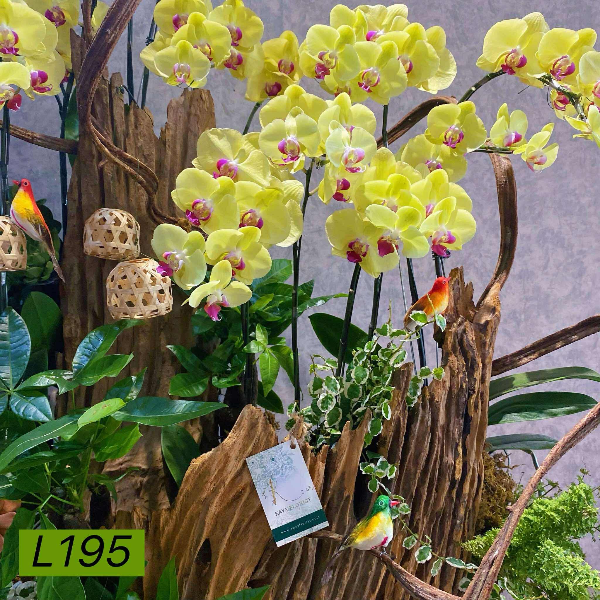 L195