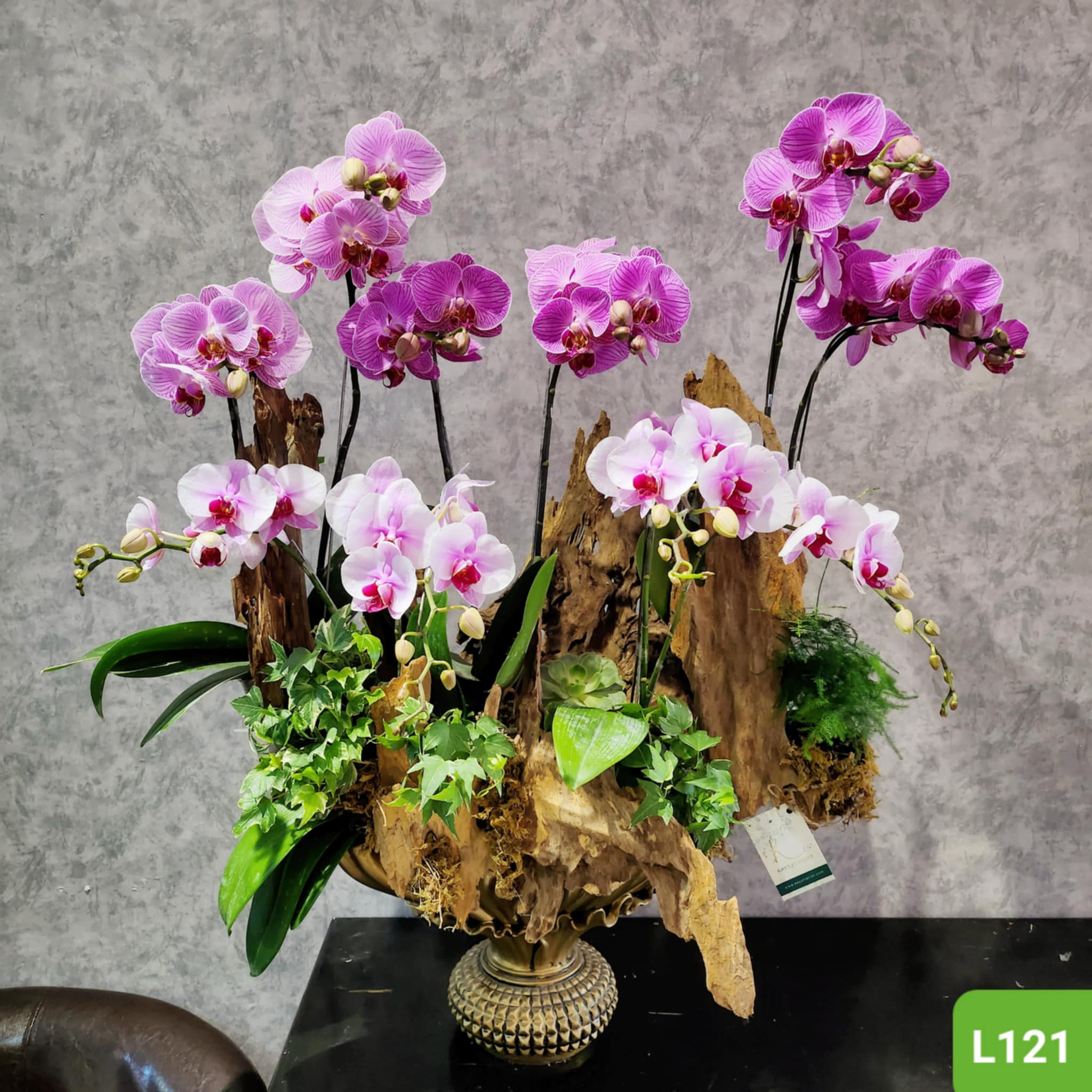 L121