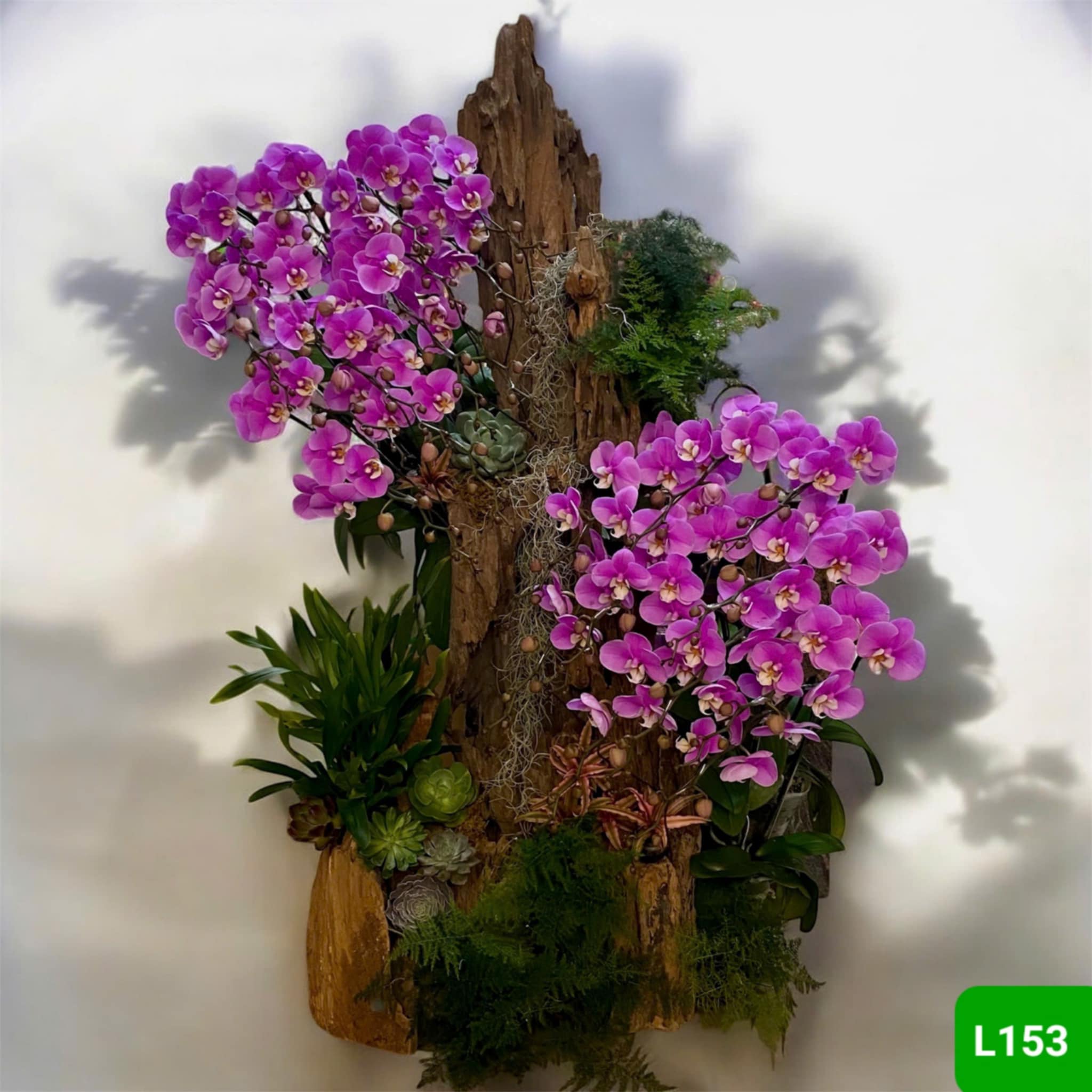 L153