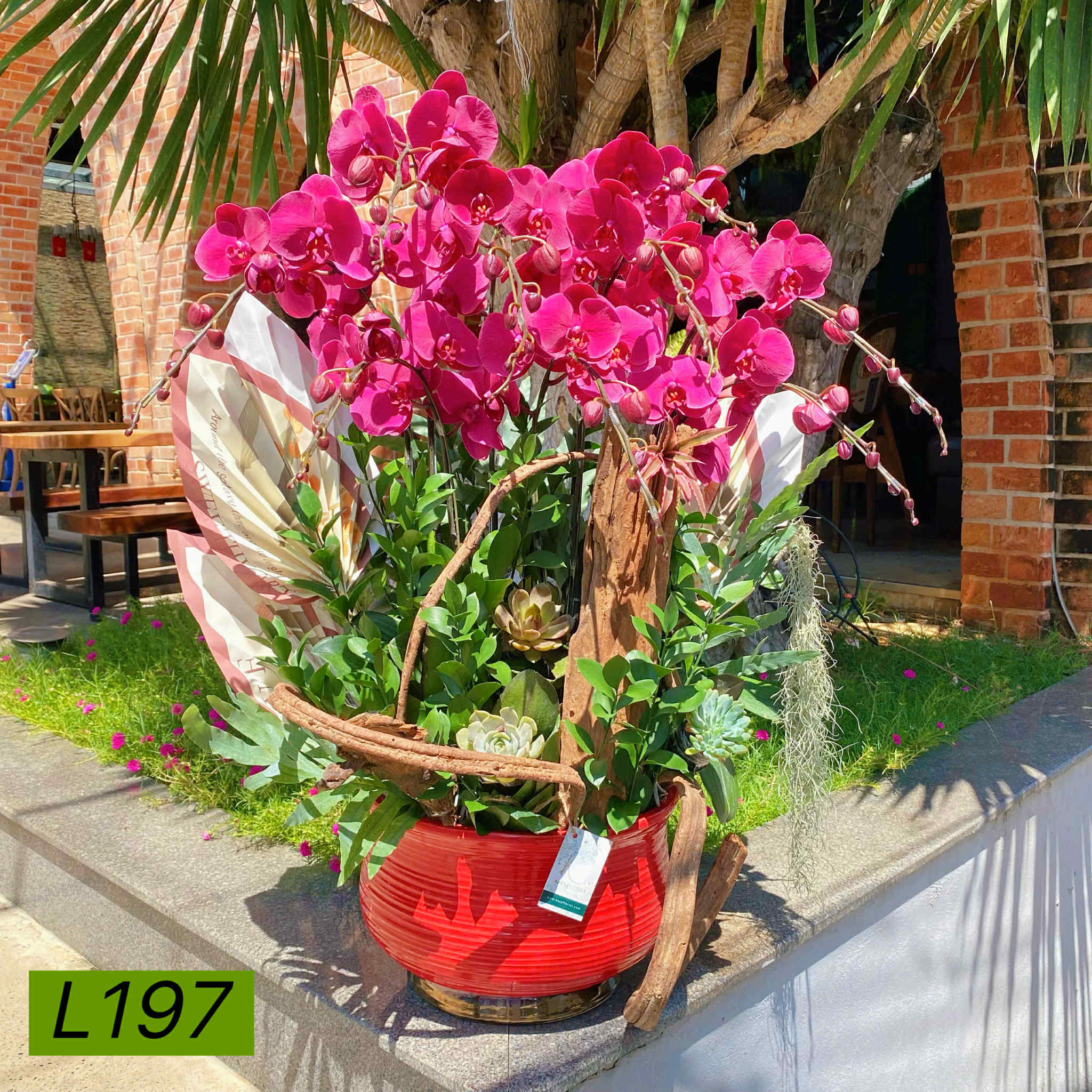 L197