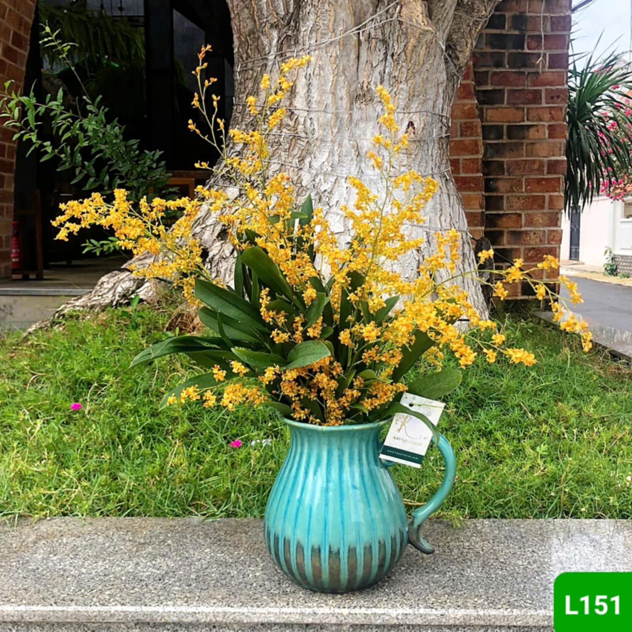L151