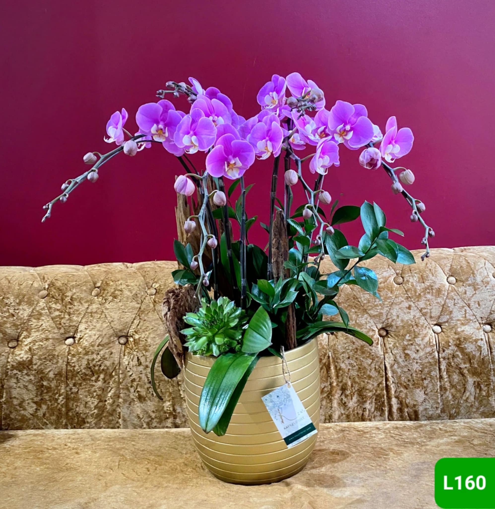 L160