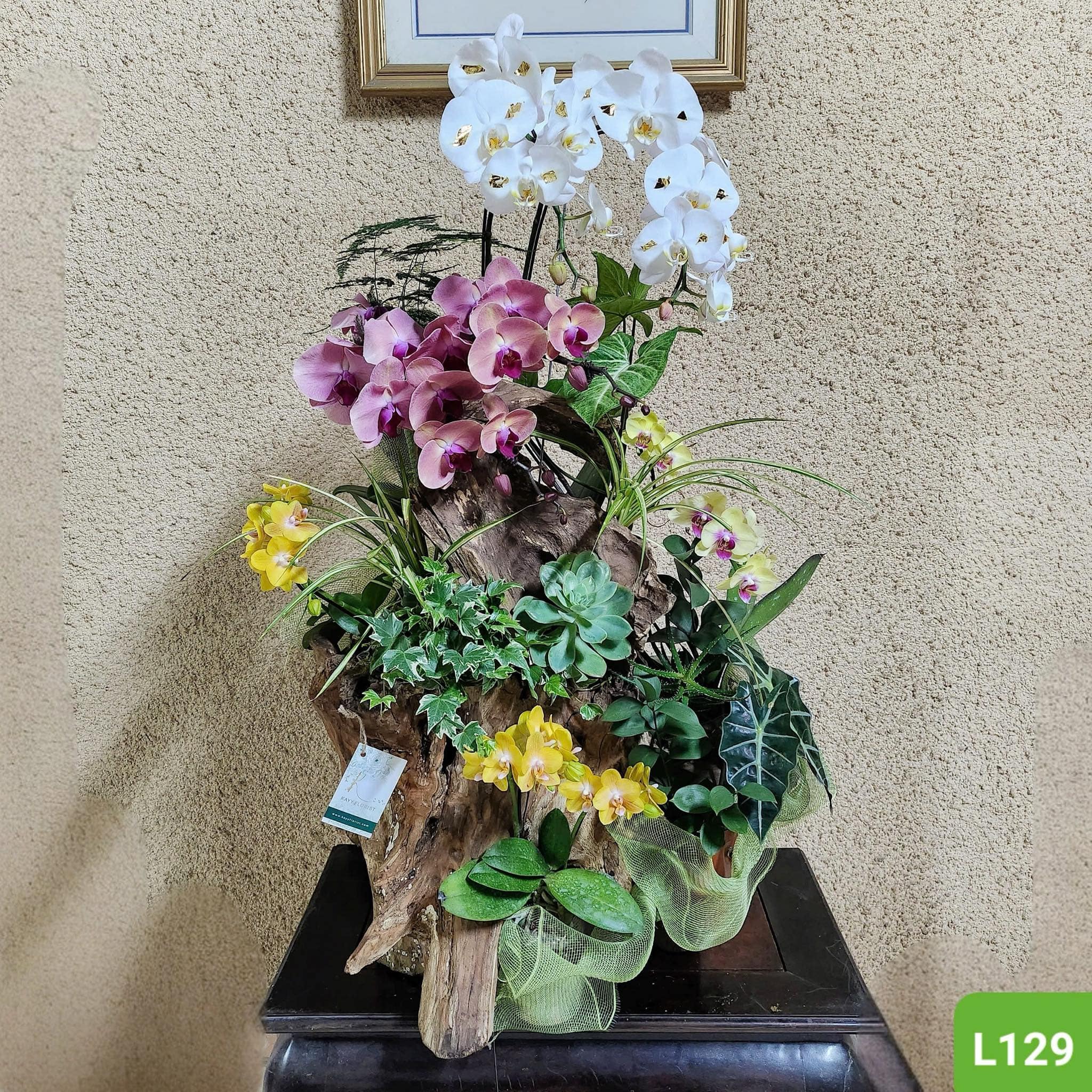 L129