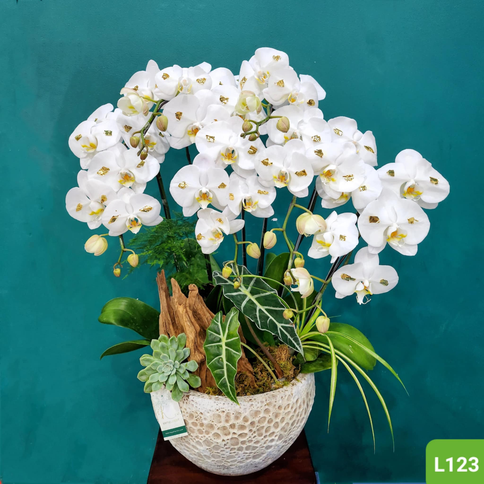 L123
