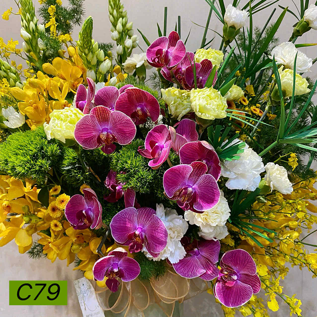 C79