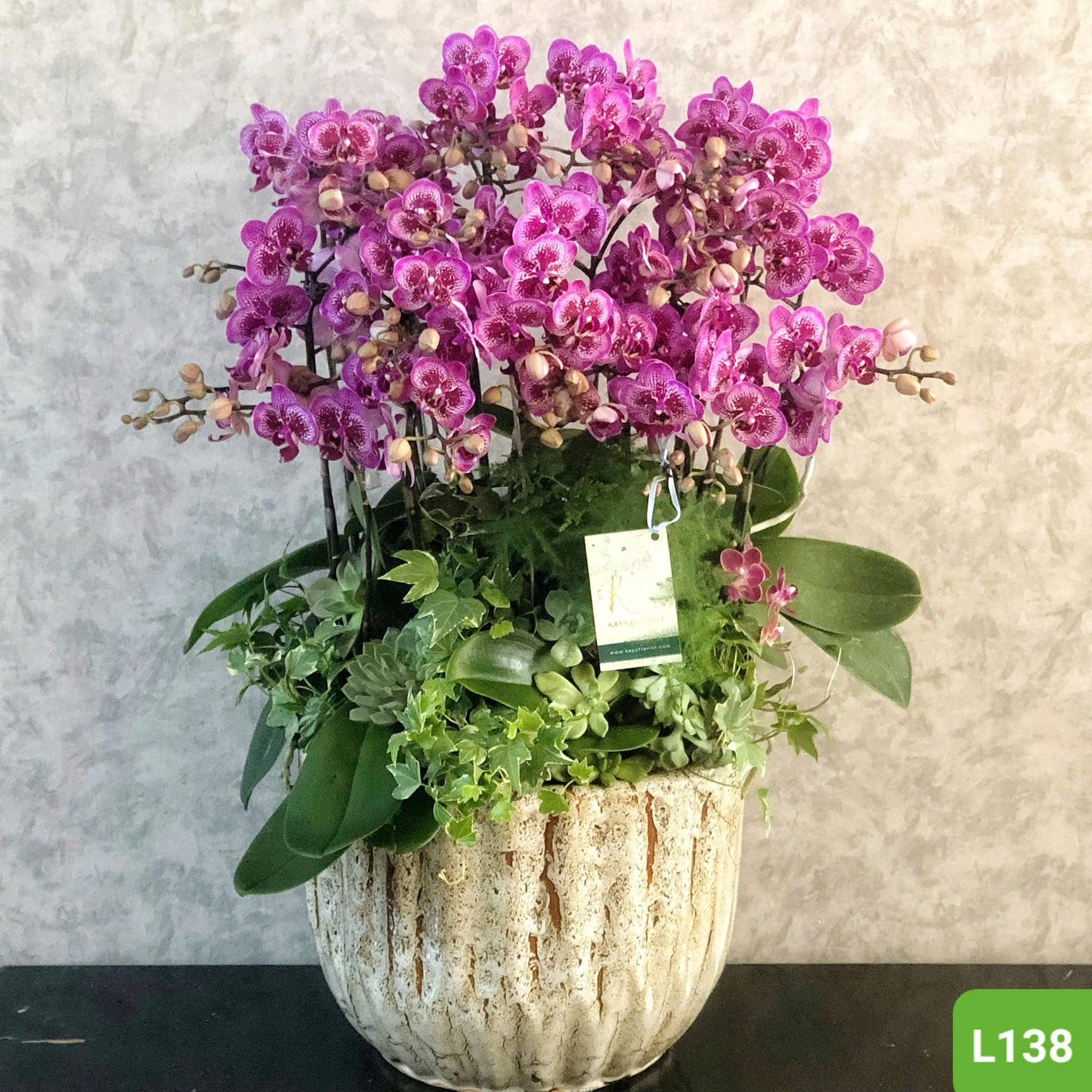 L138
