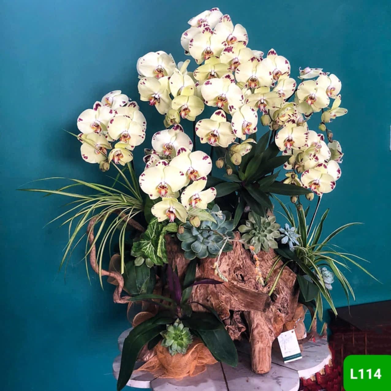 L114