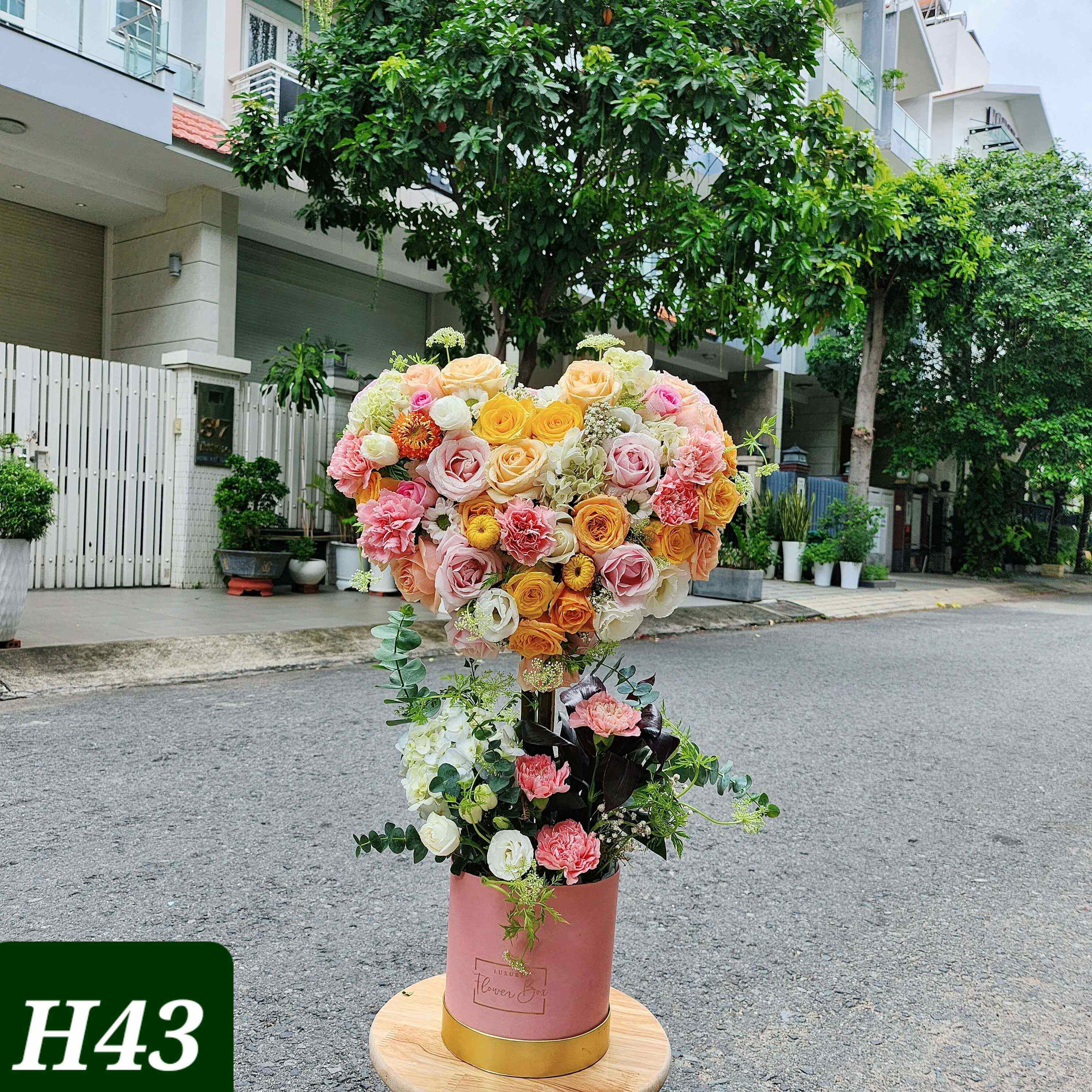 H43