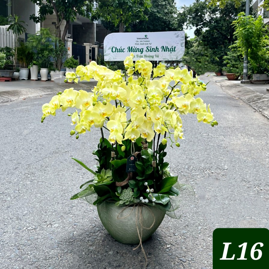 L16 Thiết kế Sang Trọng