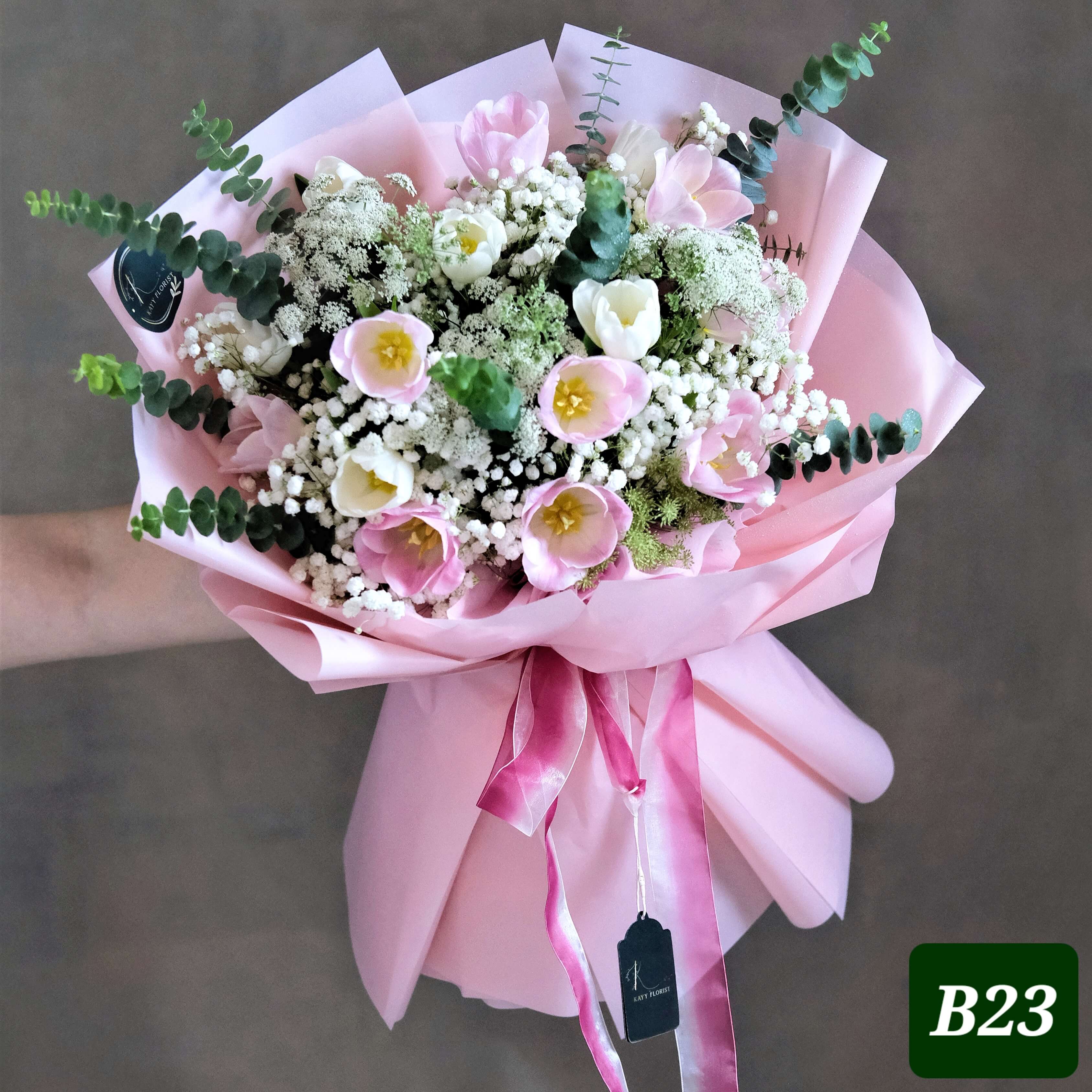 B23