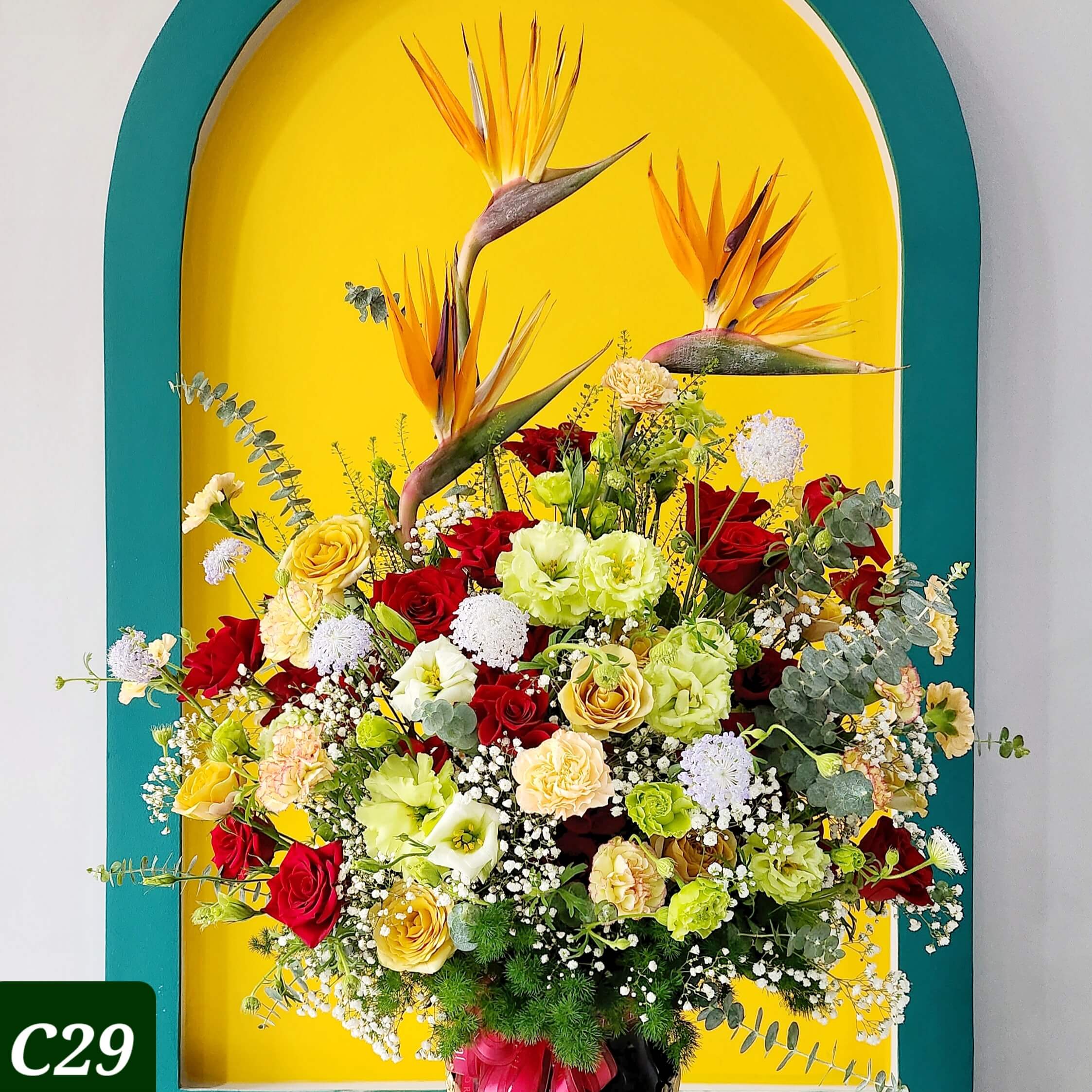 C29