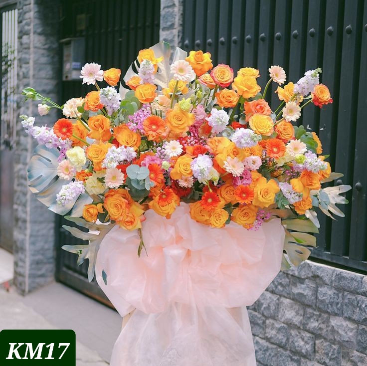 KM17