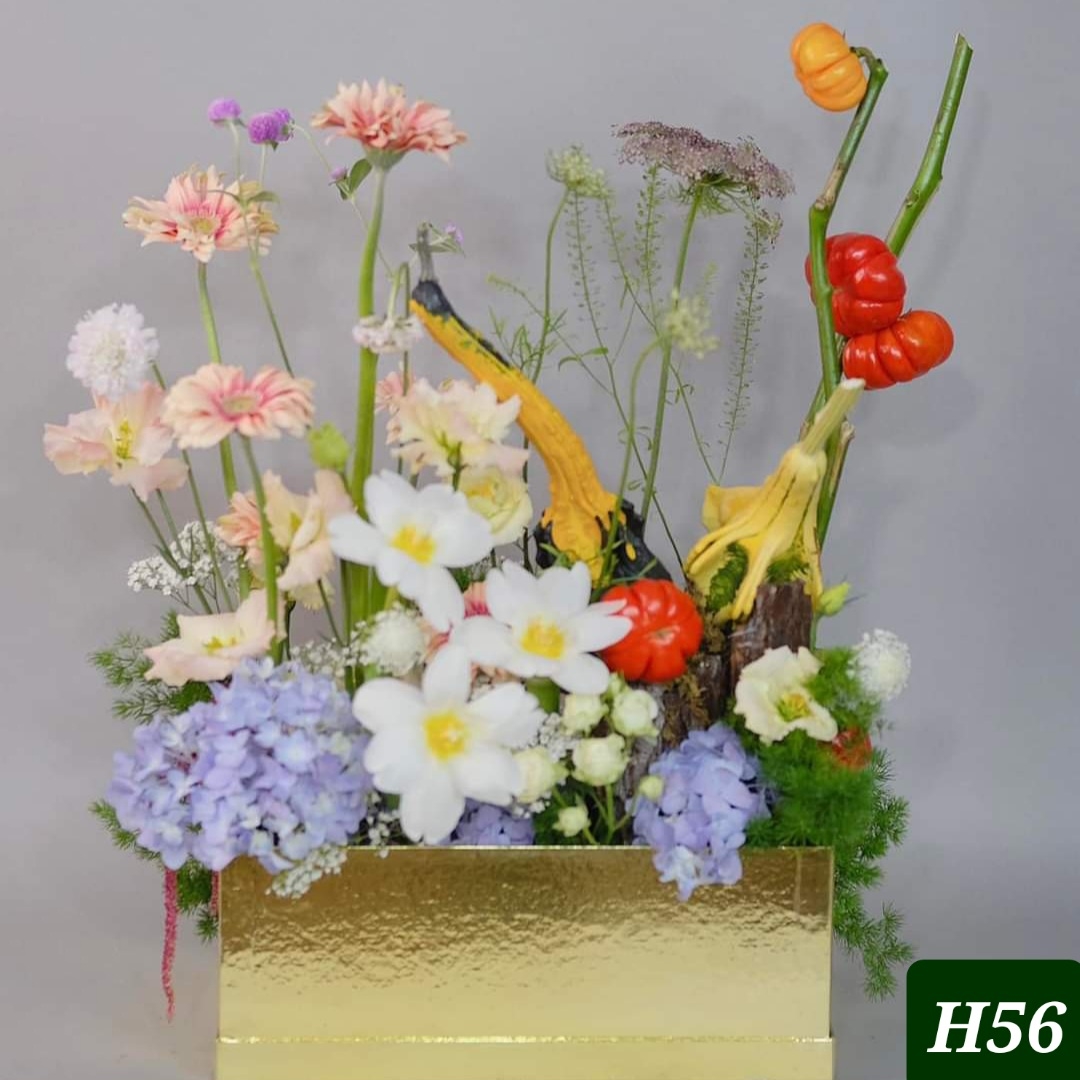 H56