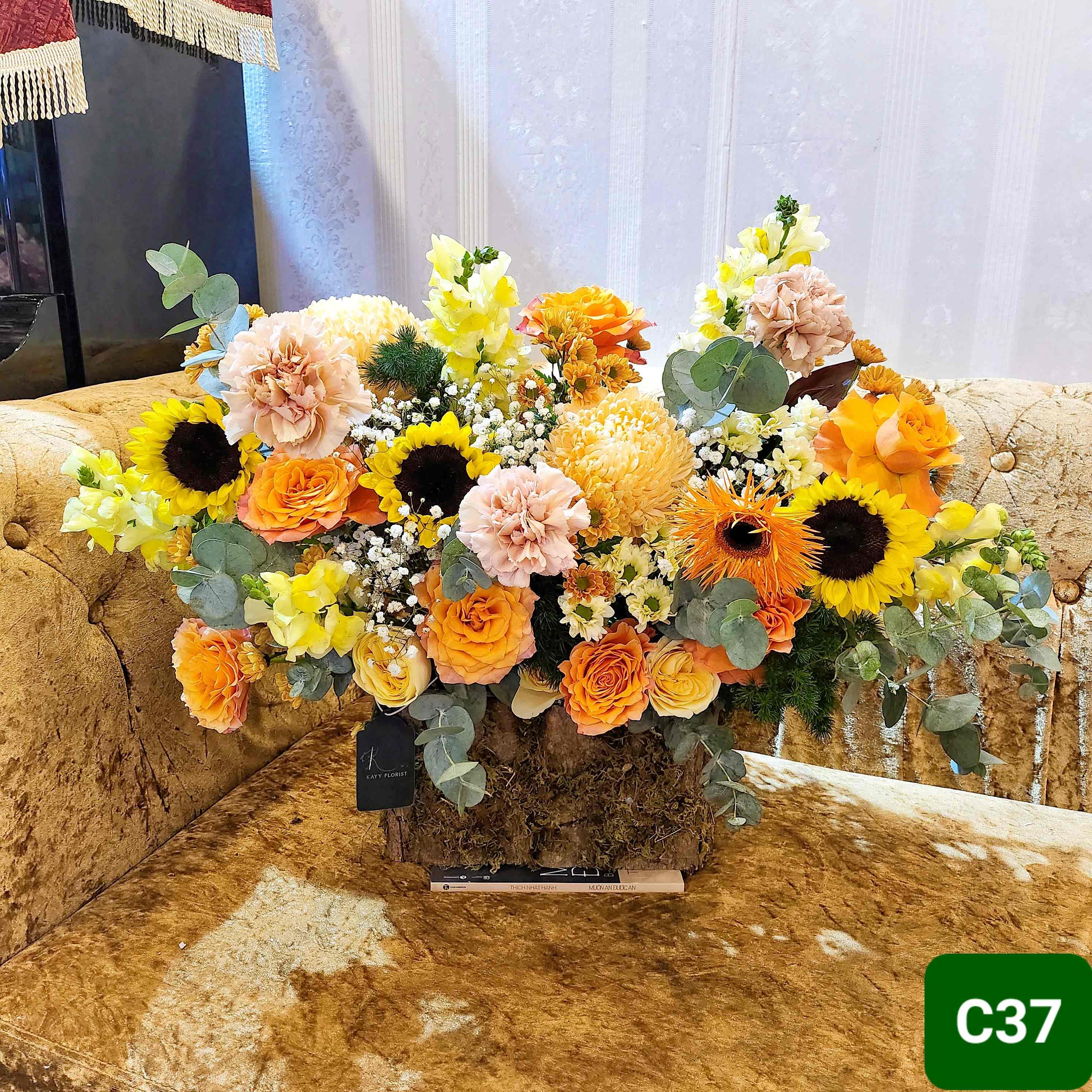 C37