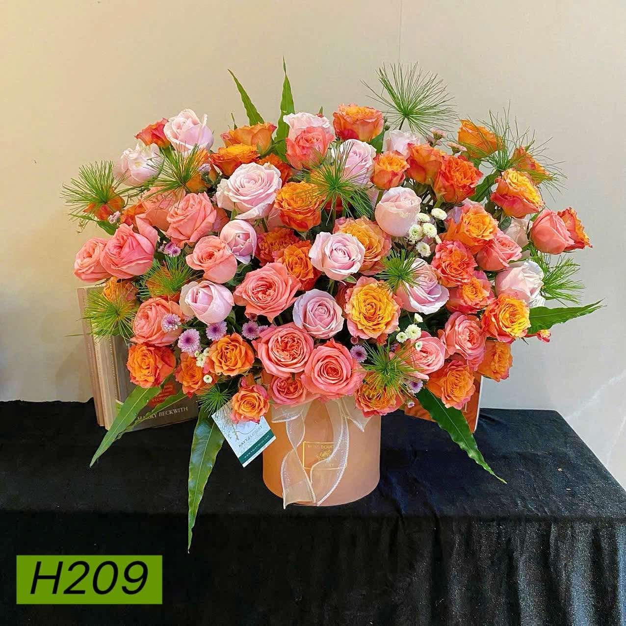 H209