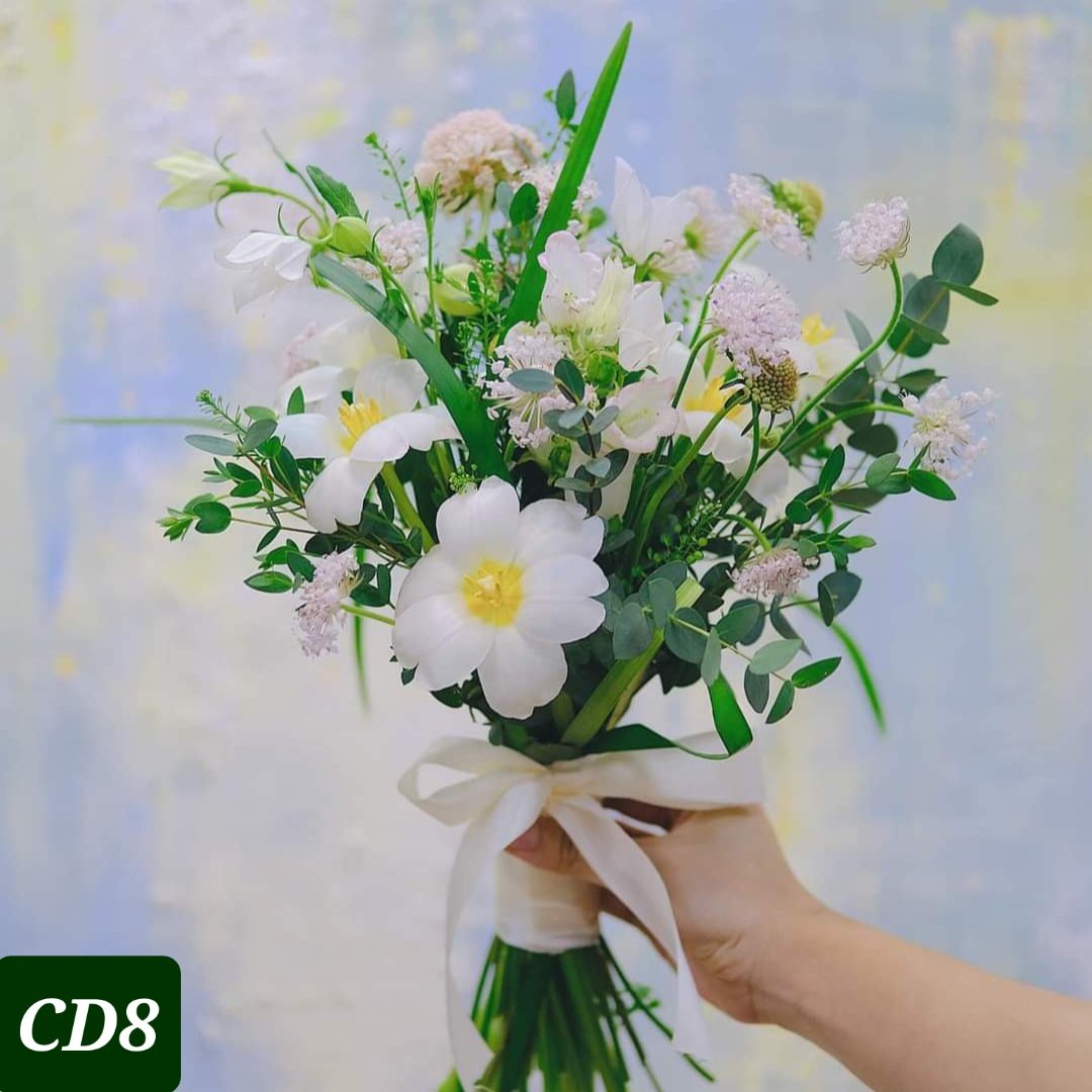 CD8