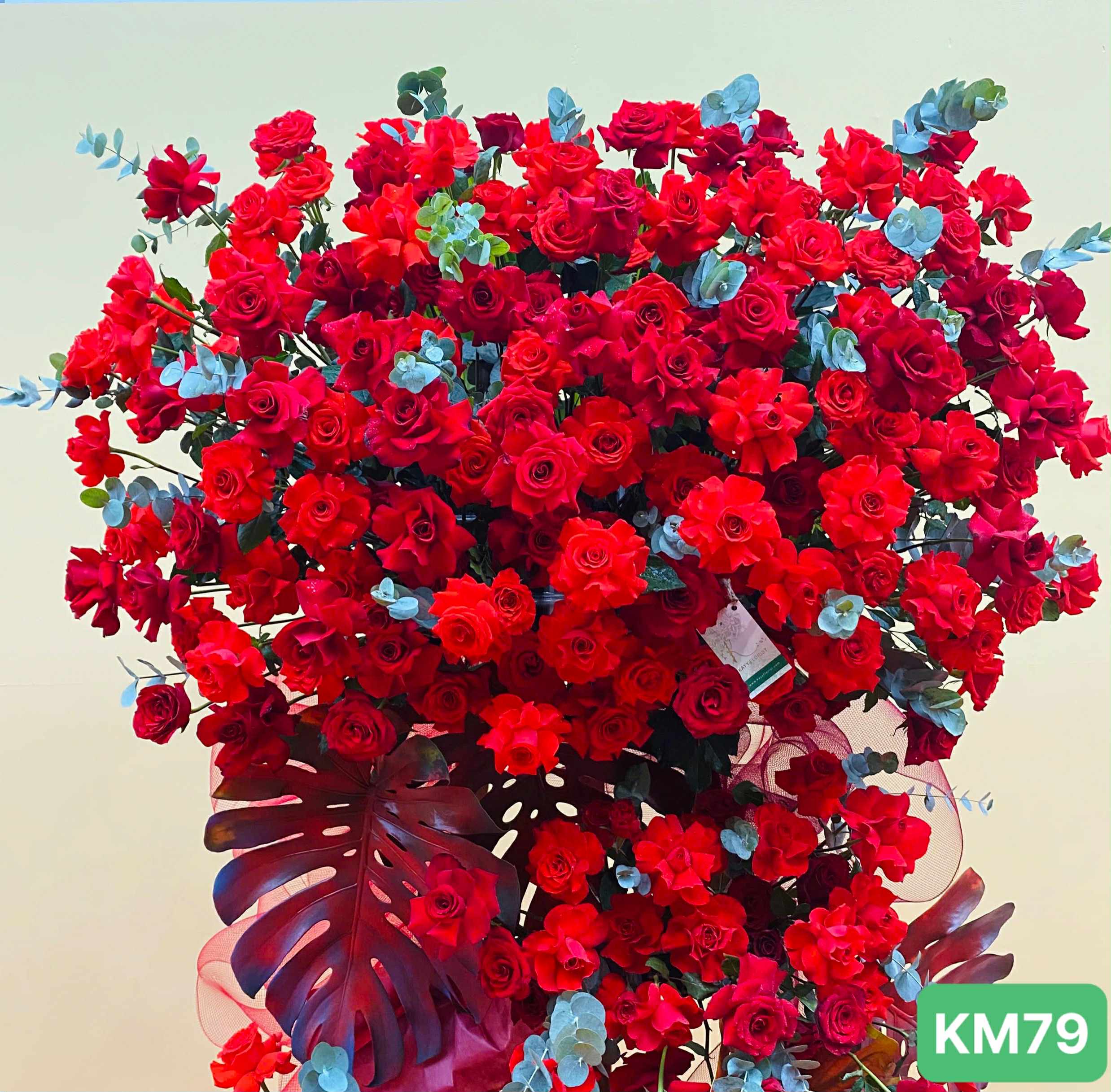 KM79