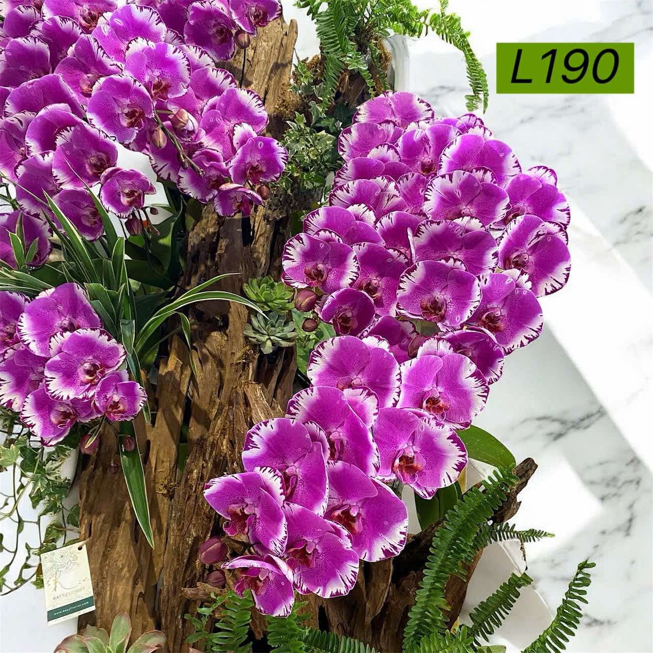 L190