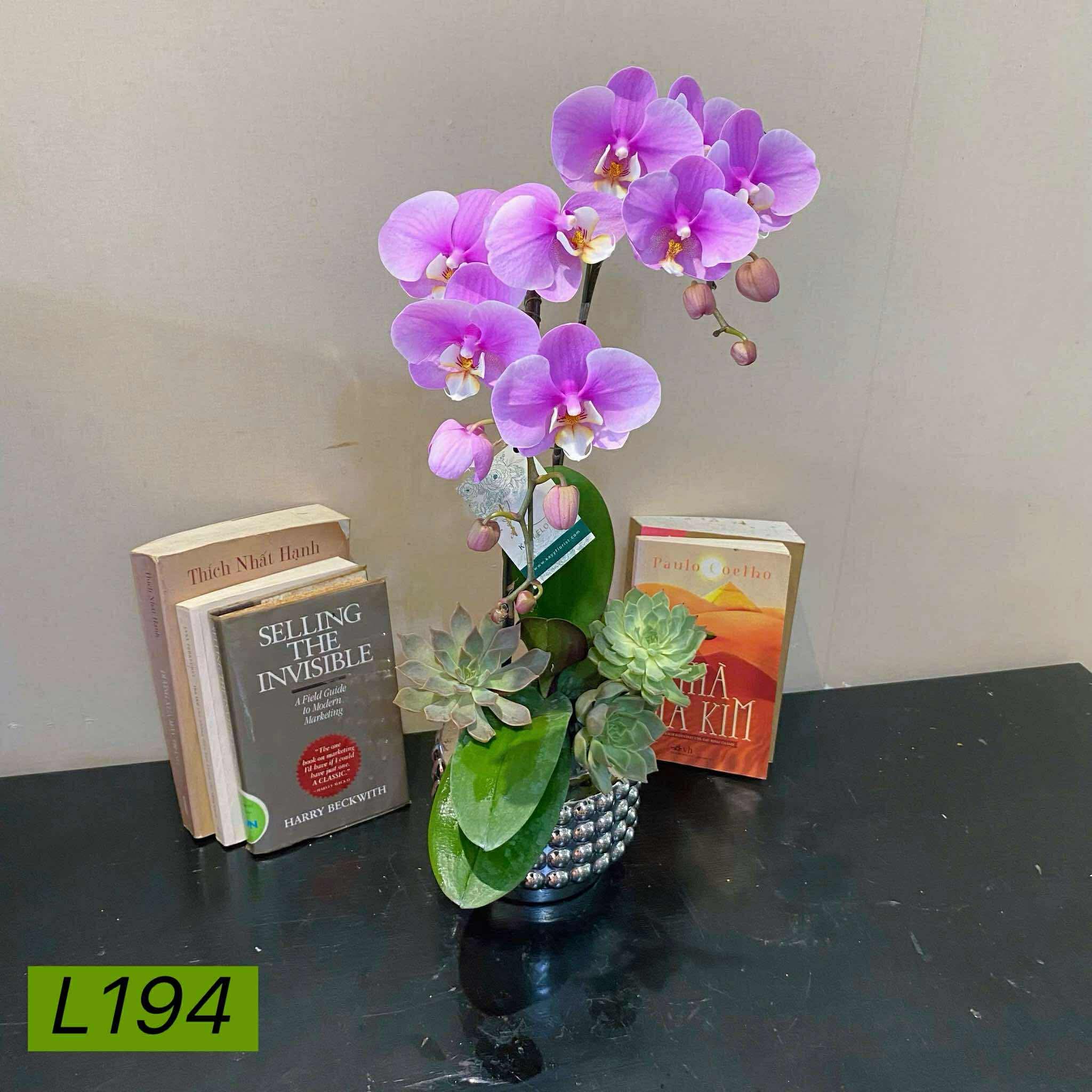 L194