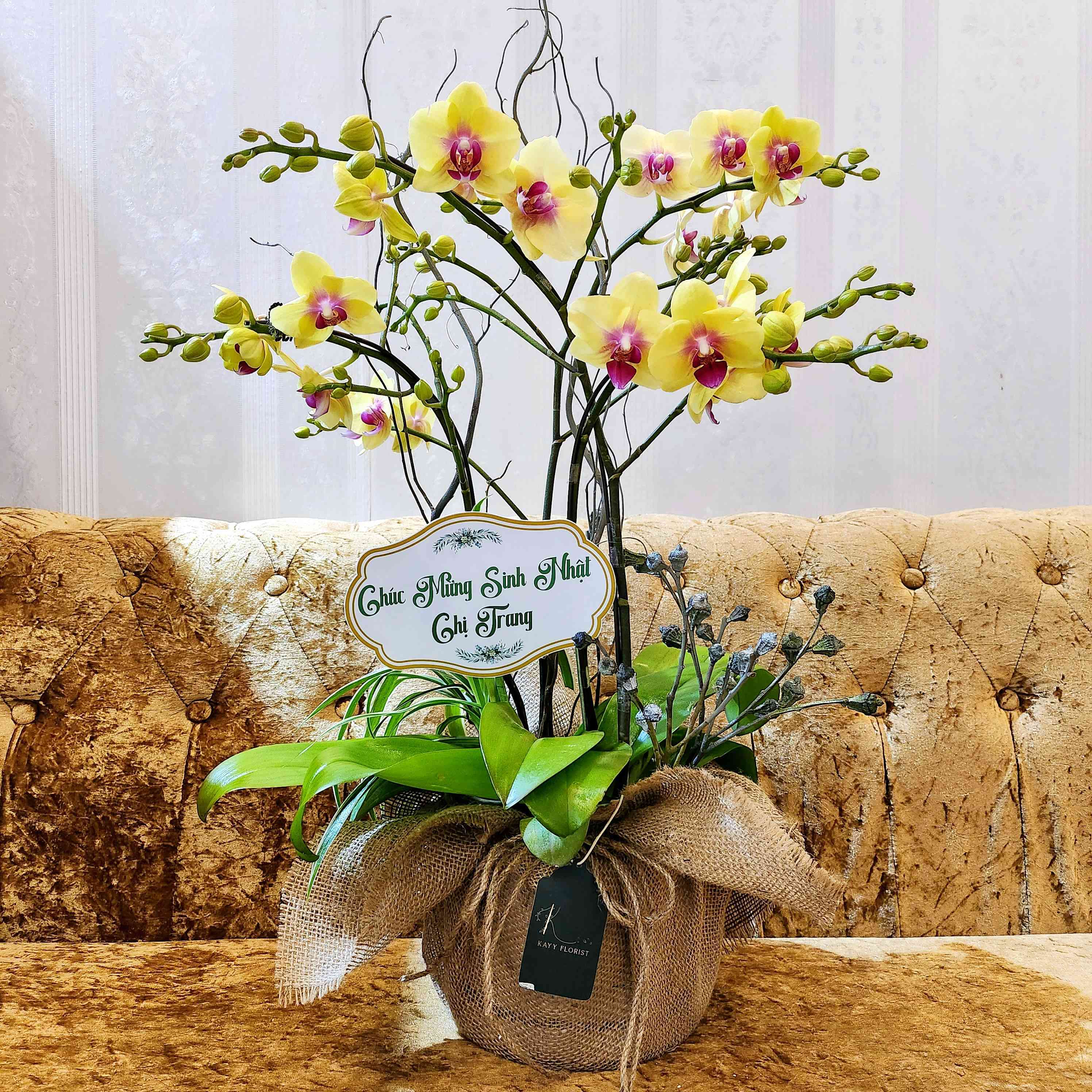 L25 Thiết kế Sang Trọng