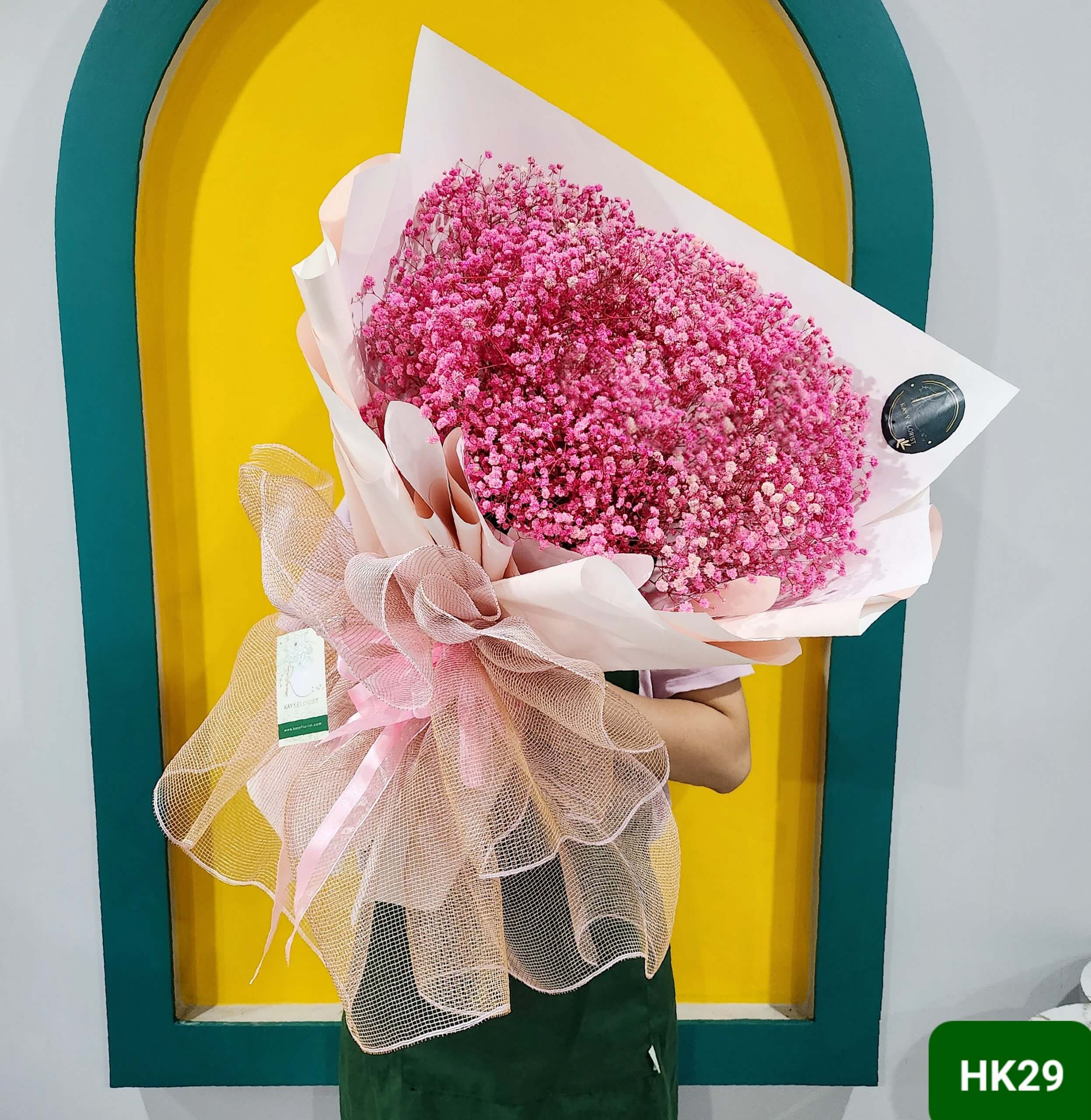 HK29