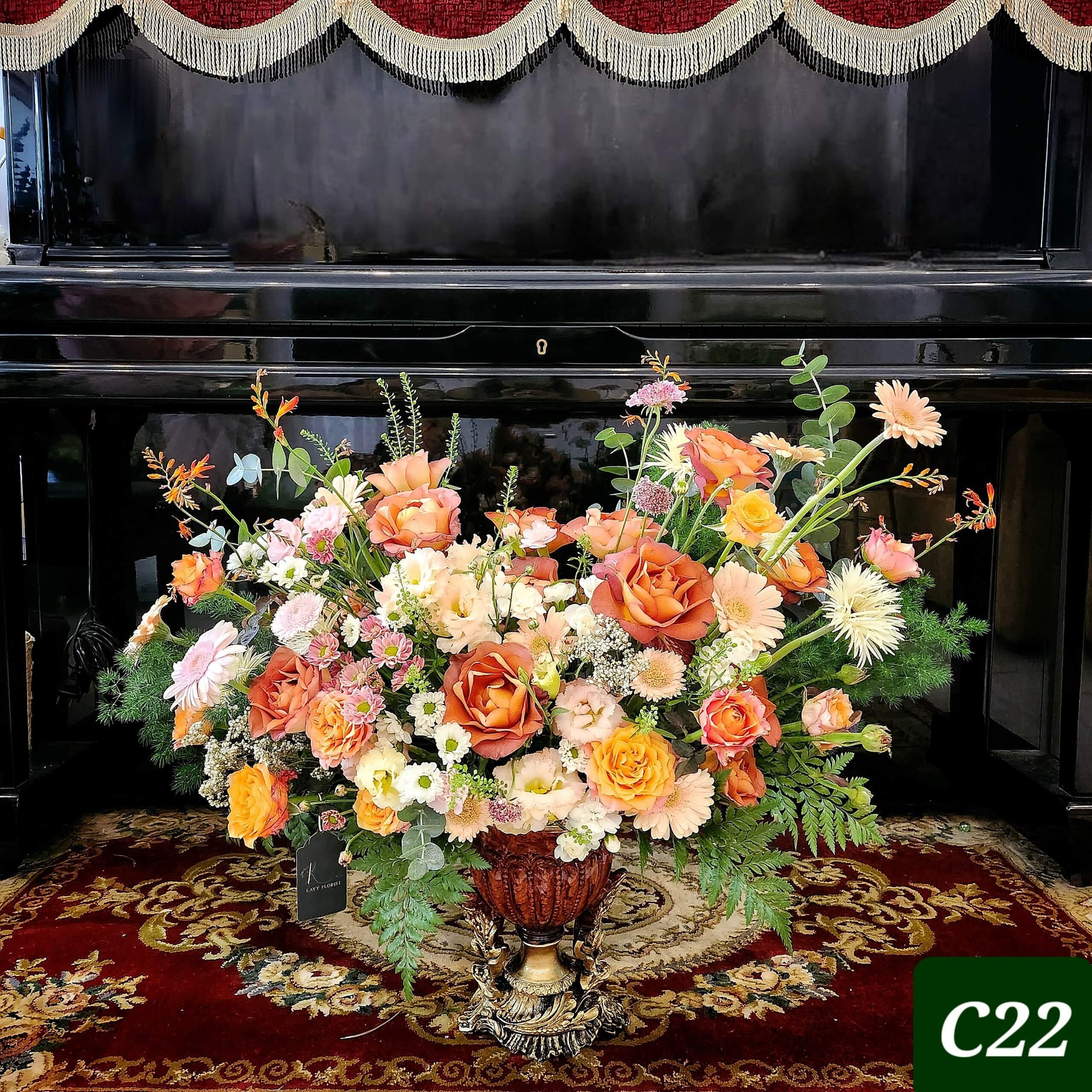 C22