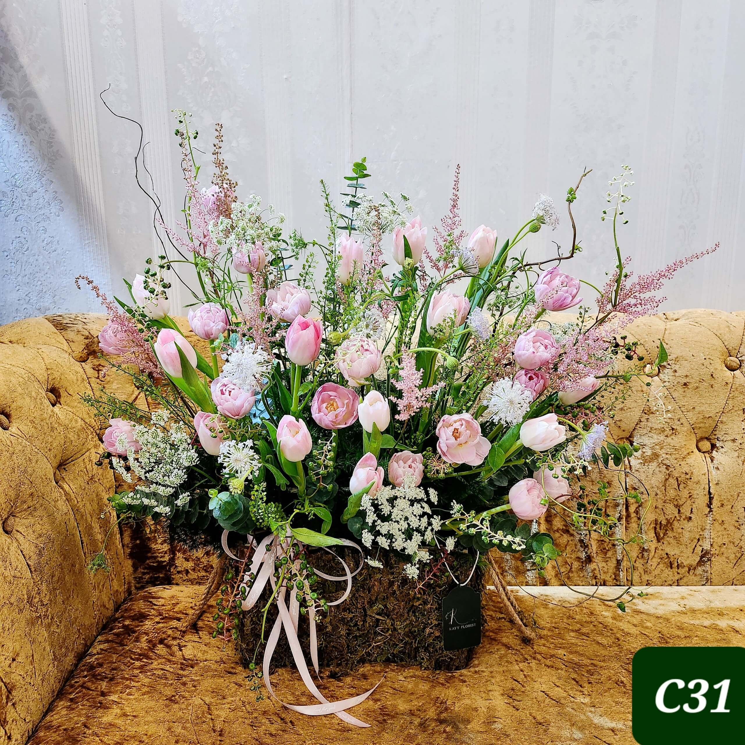 C31
