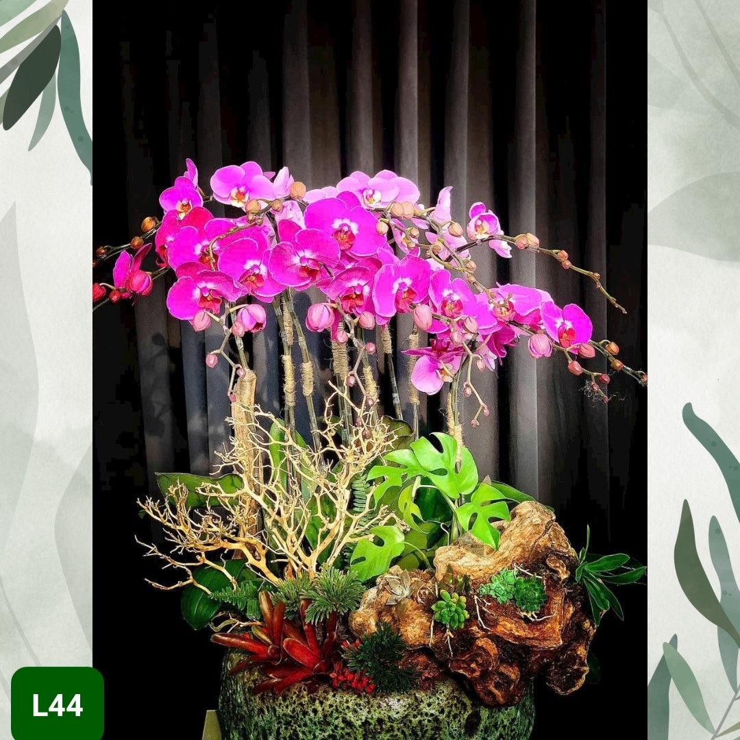 L44 Thiết kế Cao Cấp