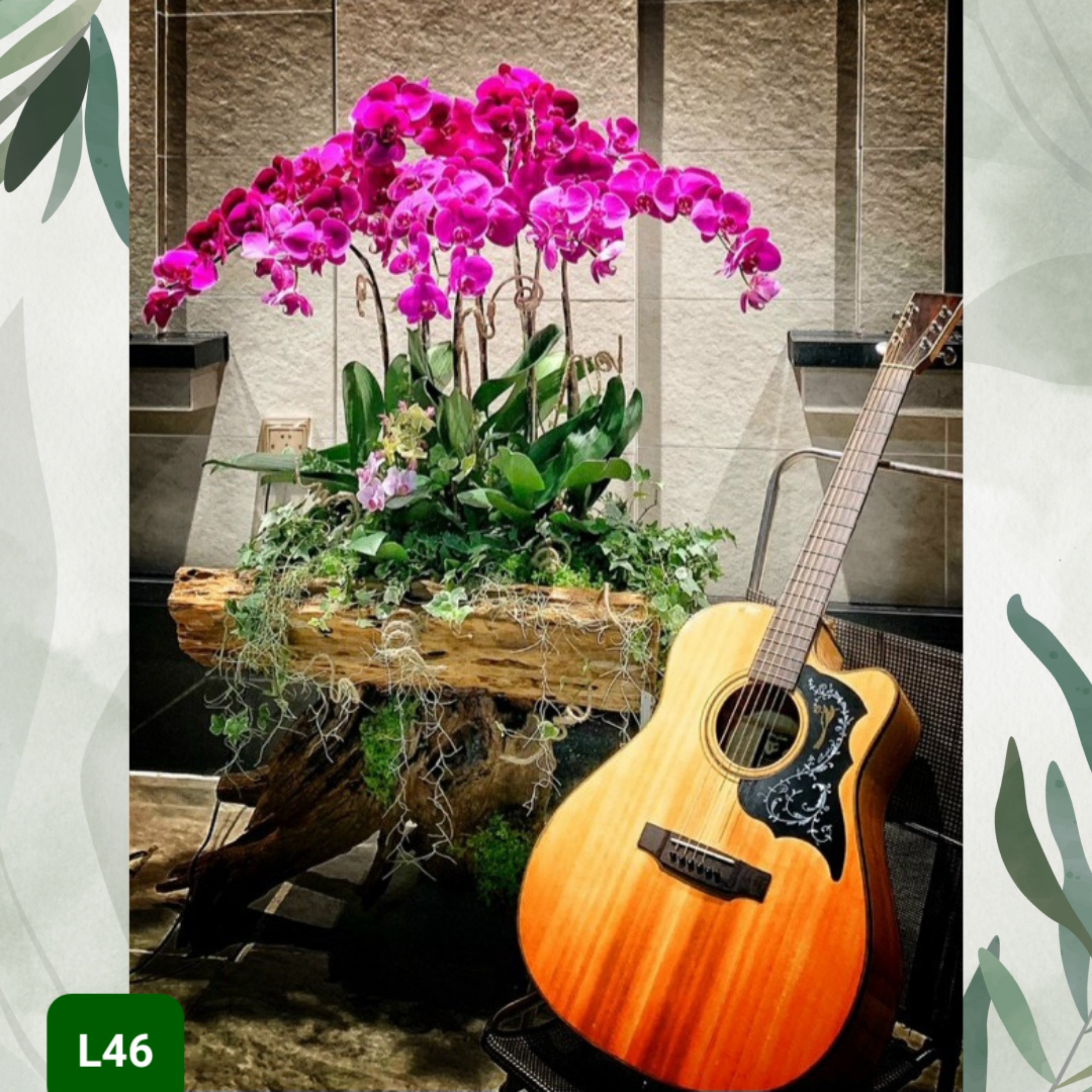 L46 Thiết kế Cao Cấp