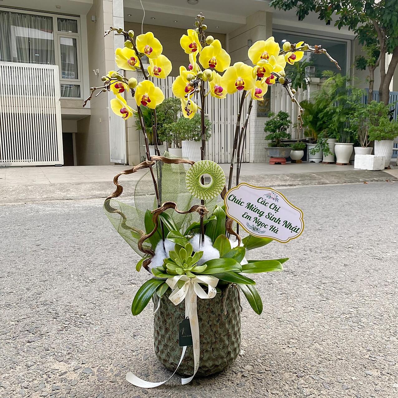 L60 Thiết kế Sang Trọng