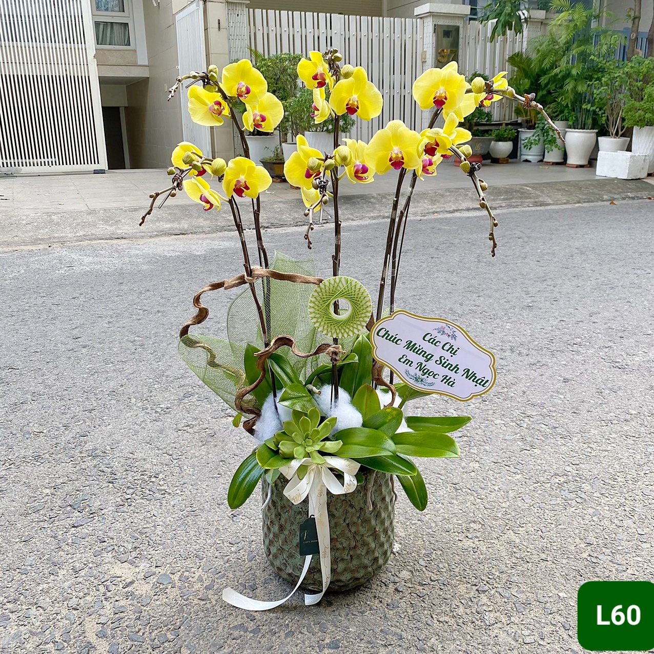 L60 Thiết kế Sang Trọng