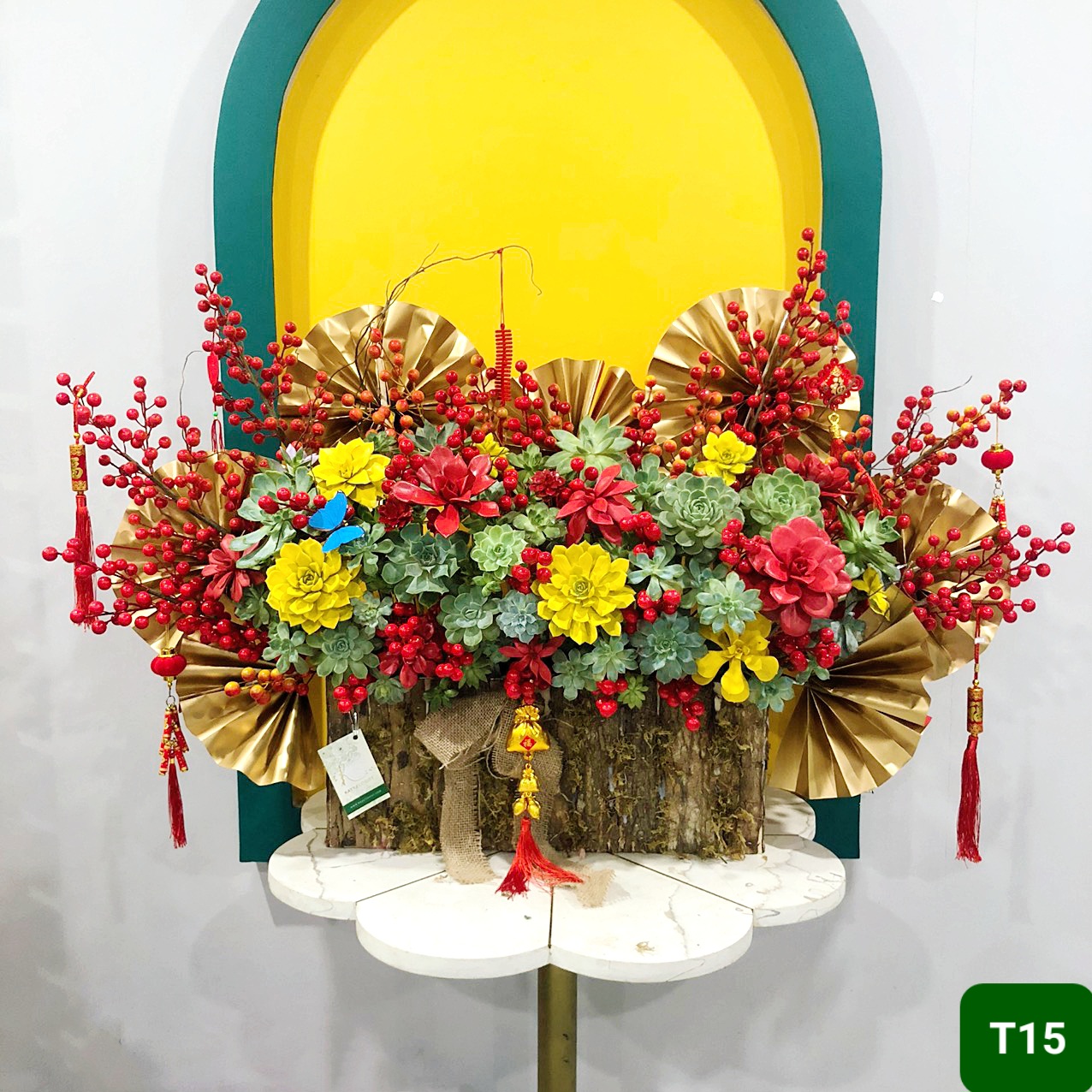 T15  Size lớn
