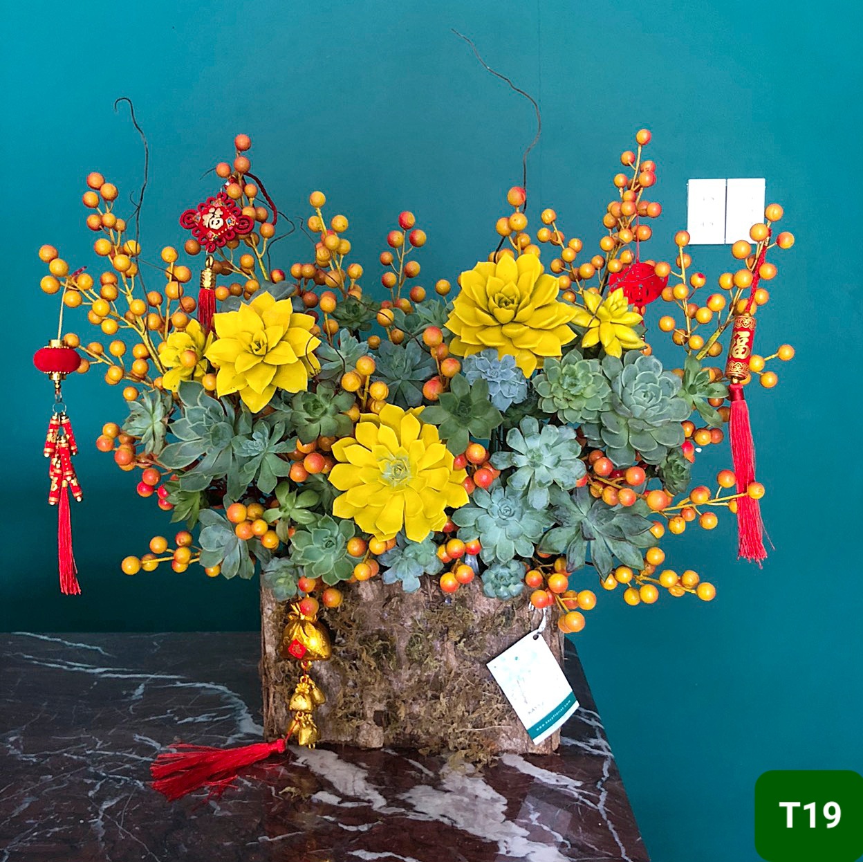 T19 Size Trung