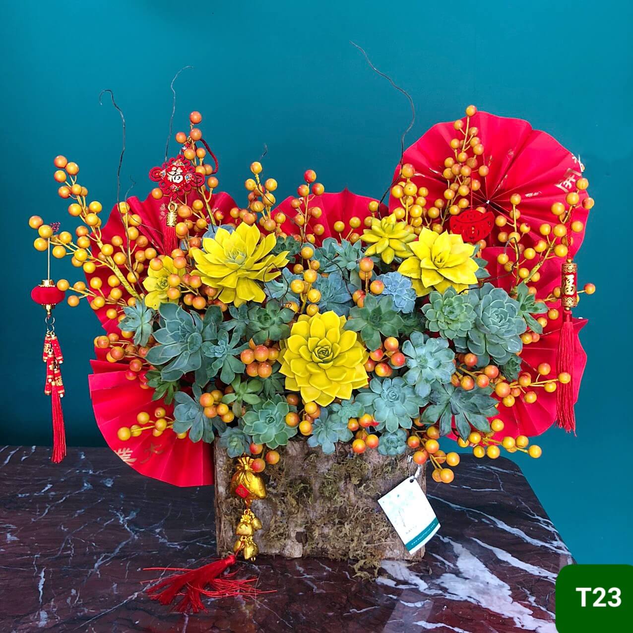 T23  Size Trung