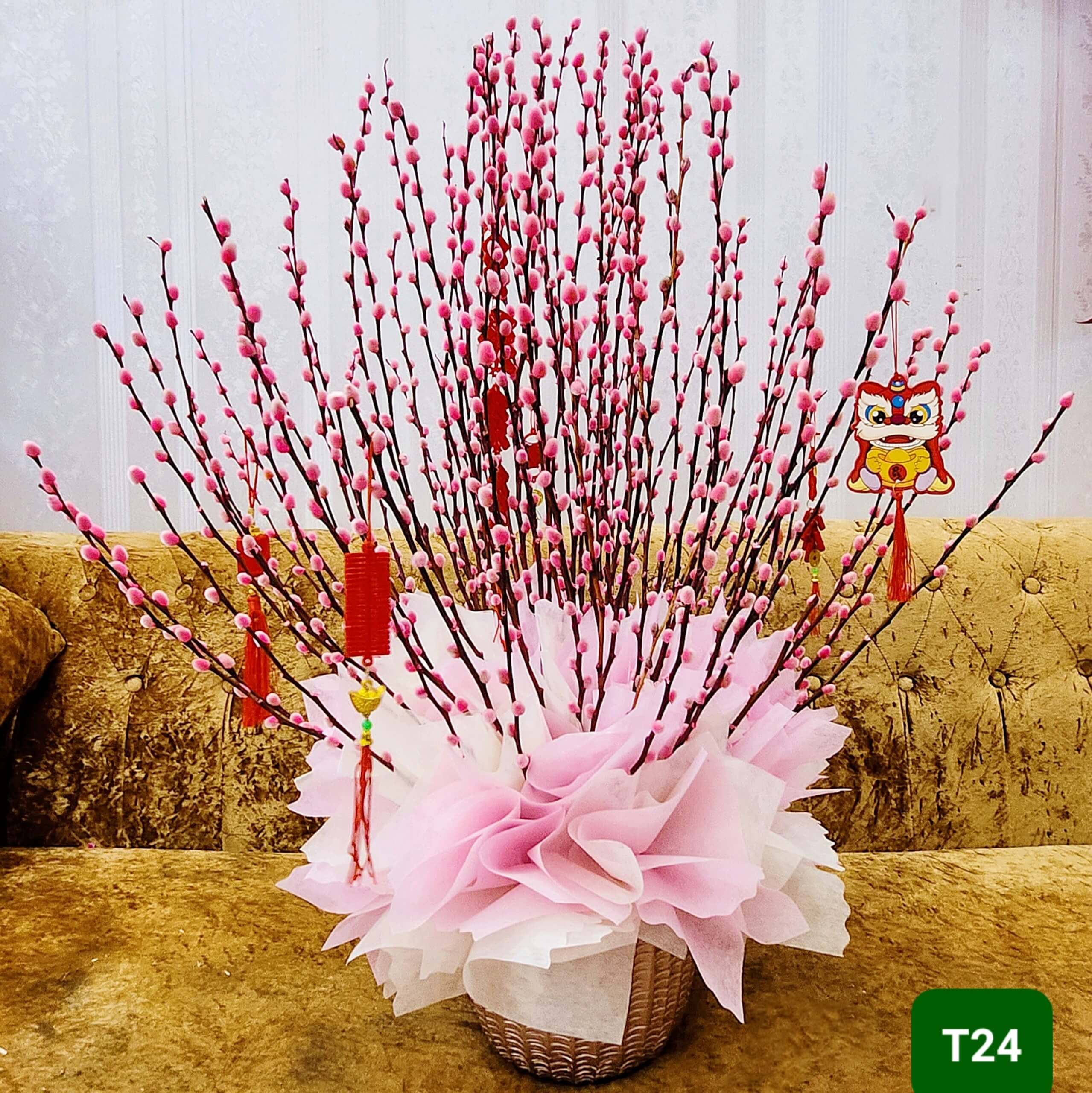 T24 Size Trung