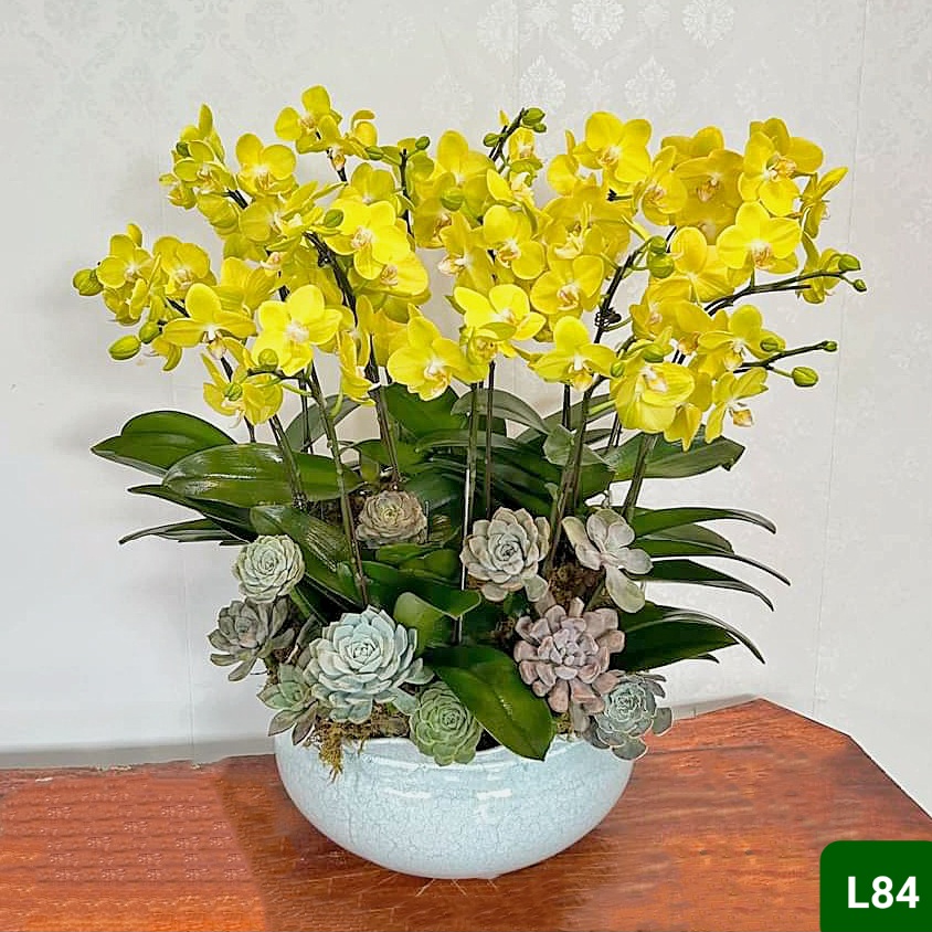 L84