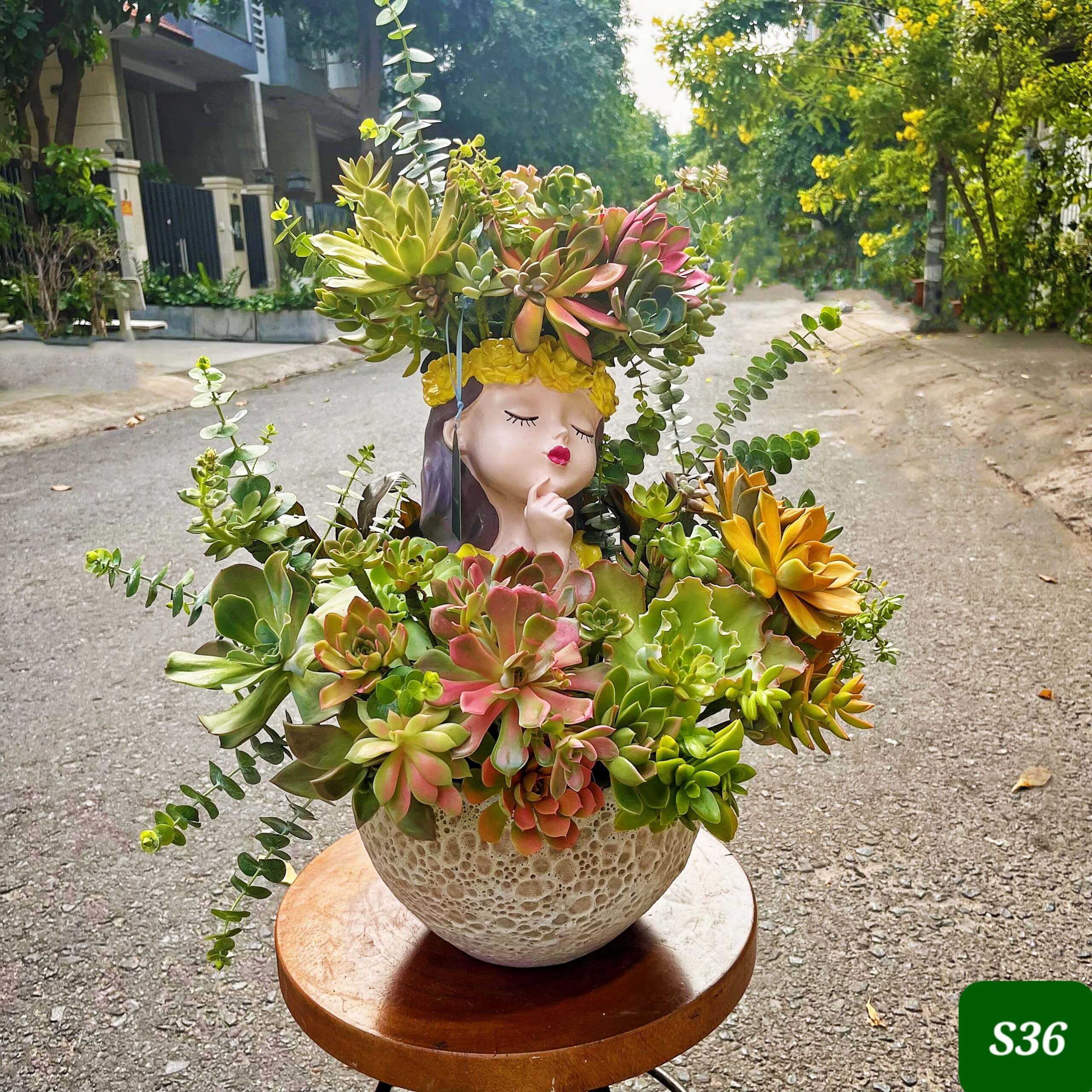 S36