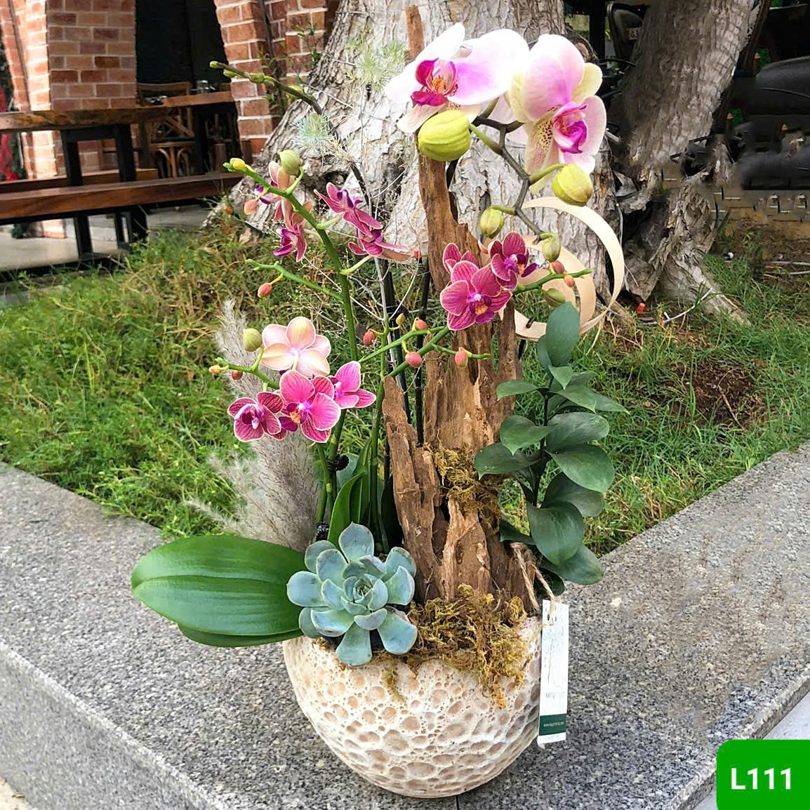 L111