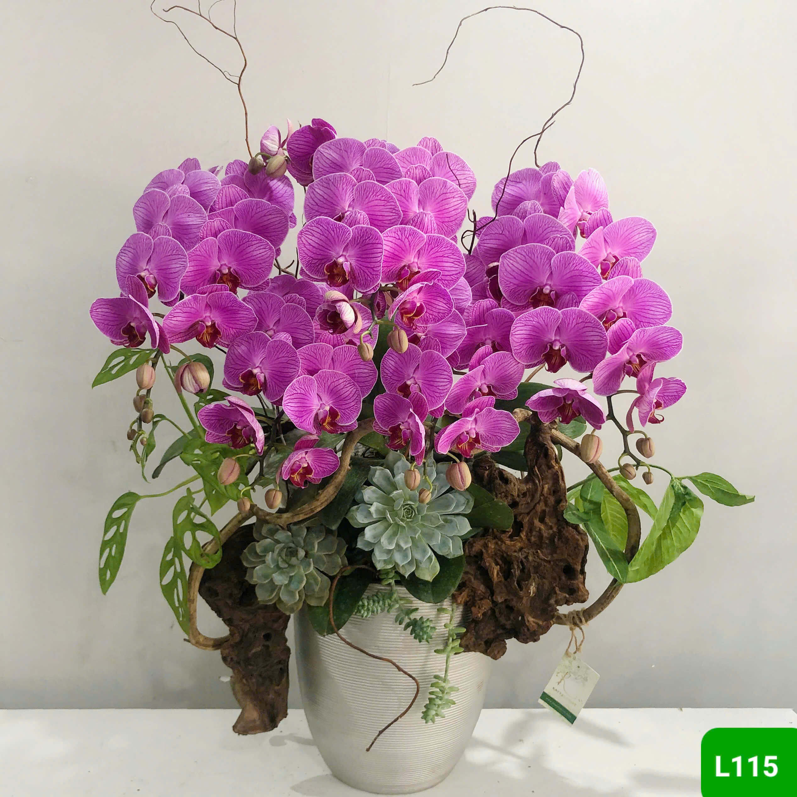 L115