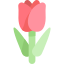 Tươi Lâu Hơn