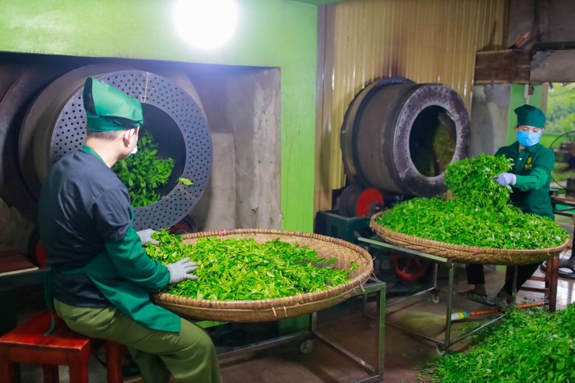 Trang Thông Tin Xuất Nhập Khẩu IMEX NEWS