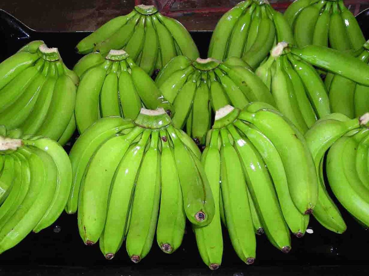 Trang Thông Tin Xuất Nhập Khẩu IMEX NEWS