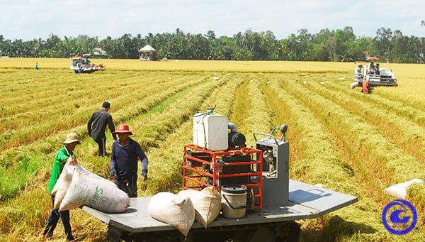 Trang Thông Tin Xuất Nhập Khẩu IMEX NEWS