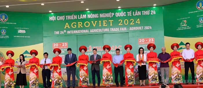 Trang Thông Tin Xuất Nhập Khẩu IMEX NEWS